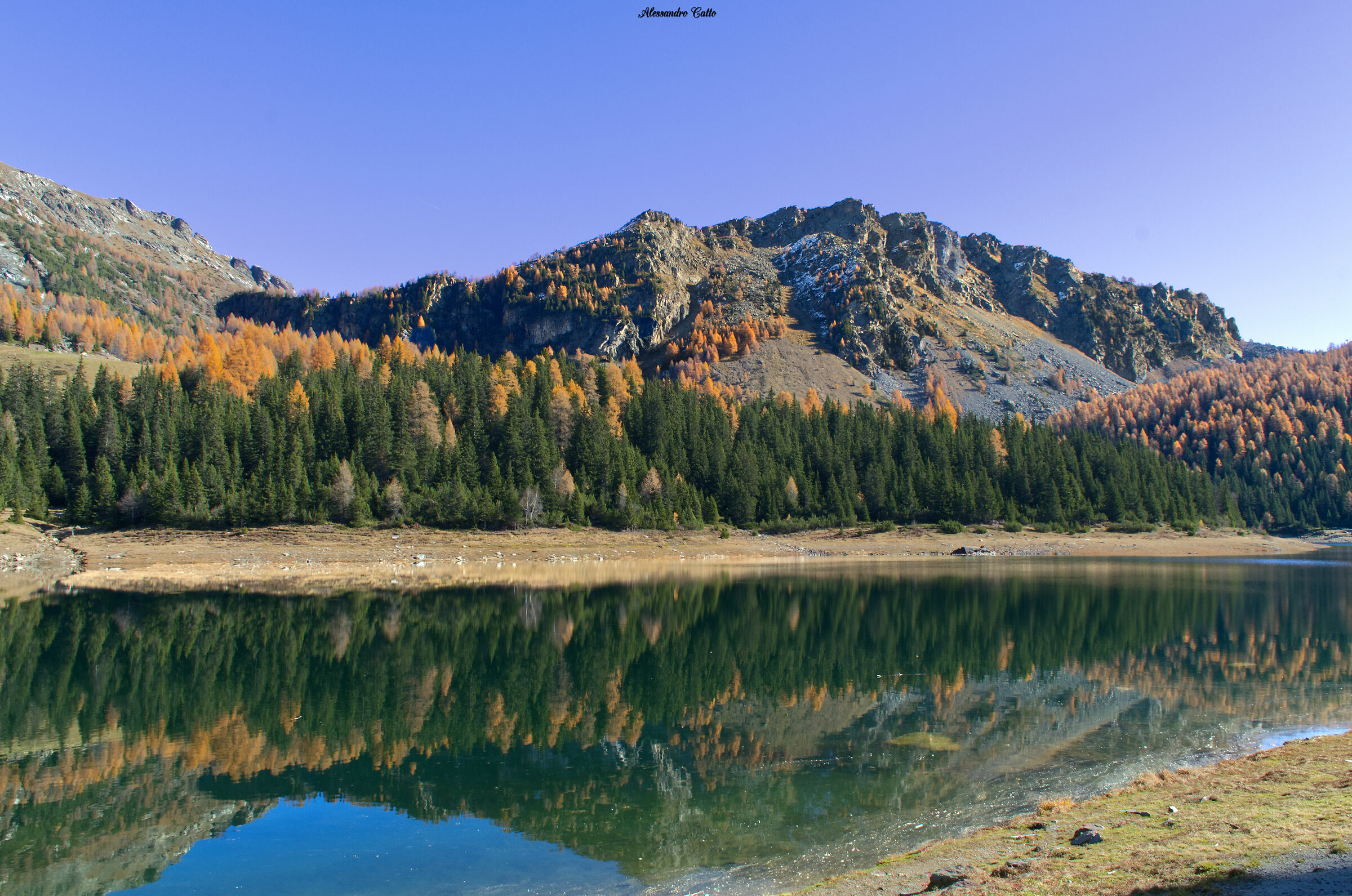 lago palu'
