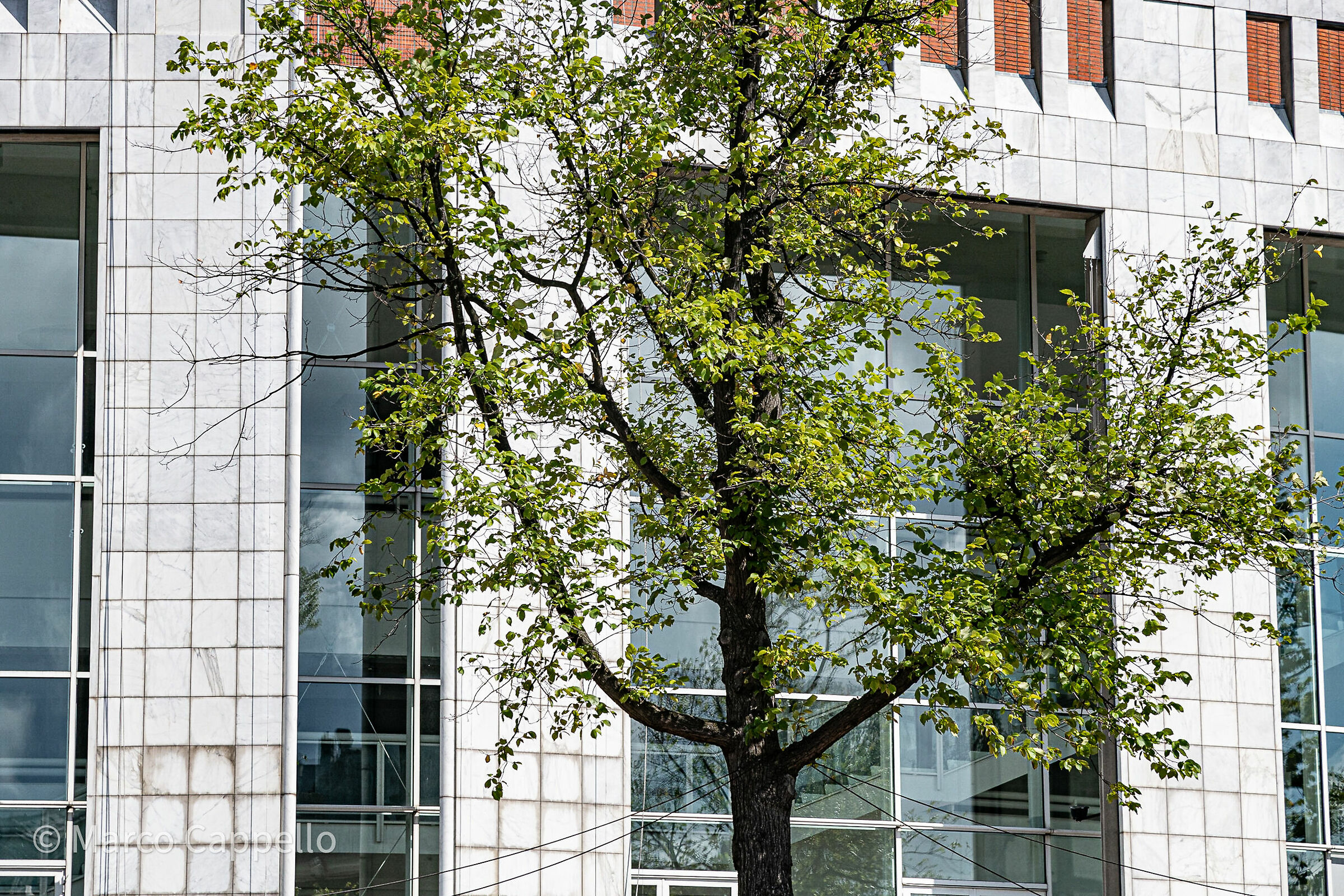 Geometria naturale e artificiale