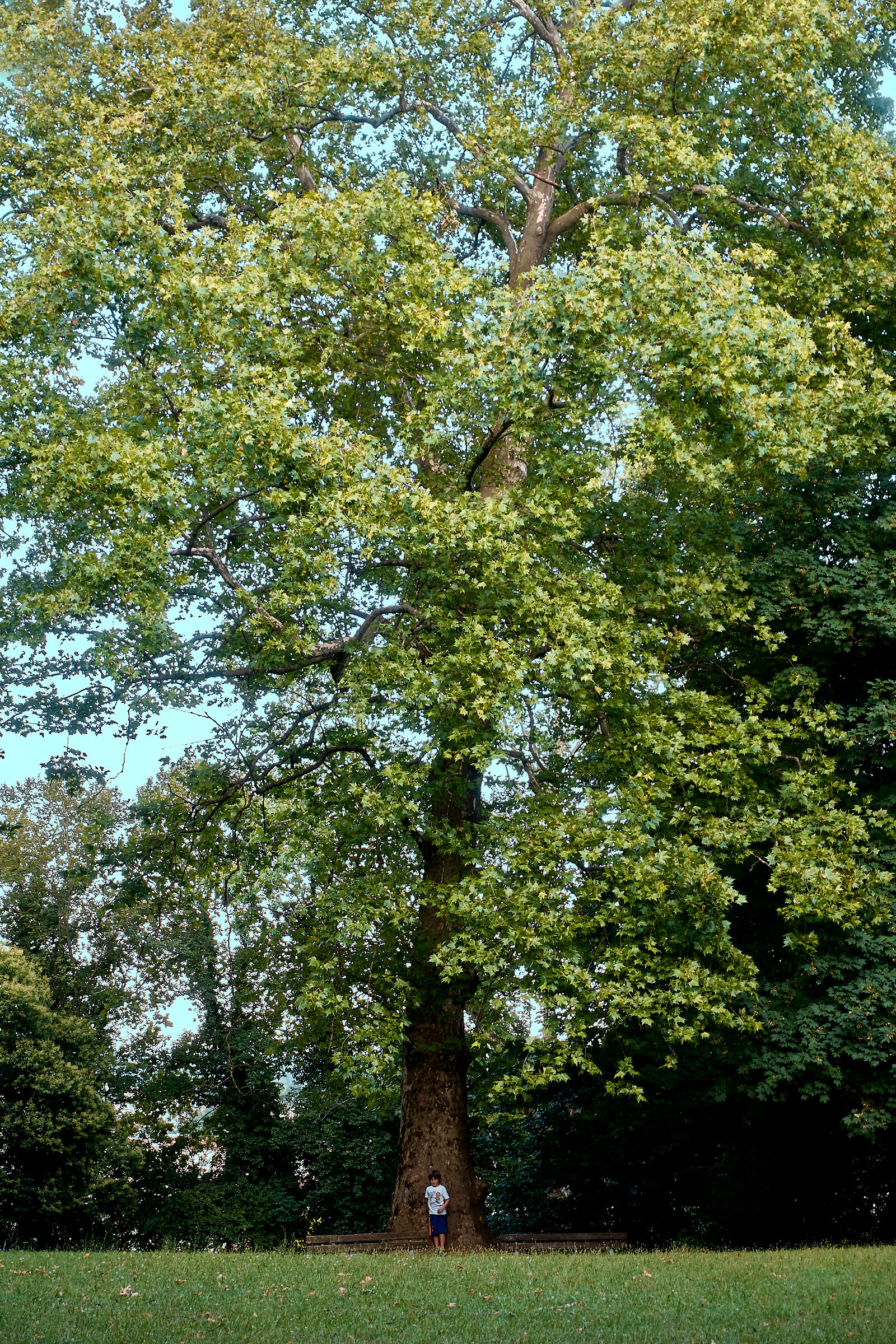 Il gigante e il bambino