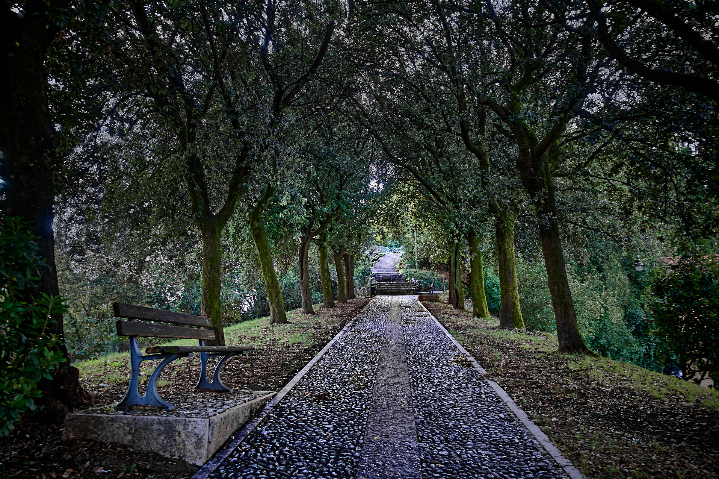 Salita al castello di Schio