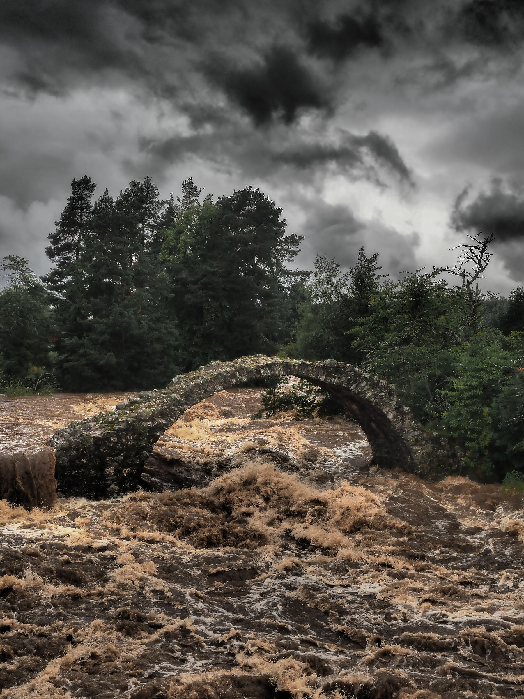 Carrbridge