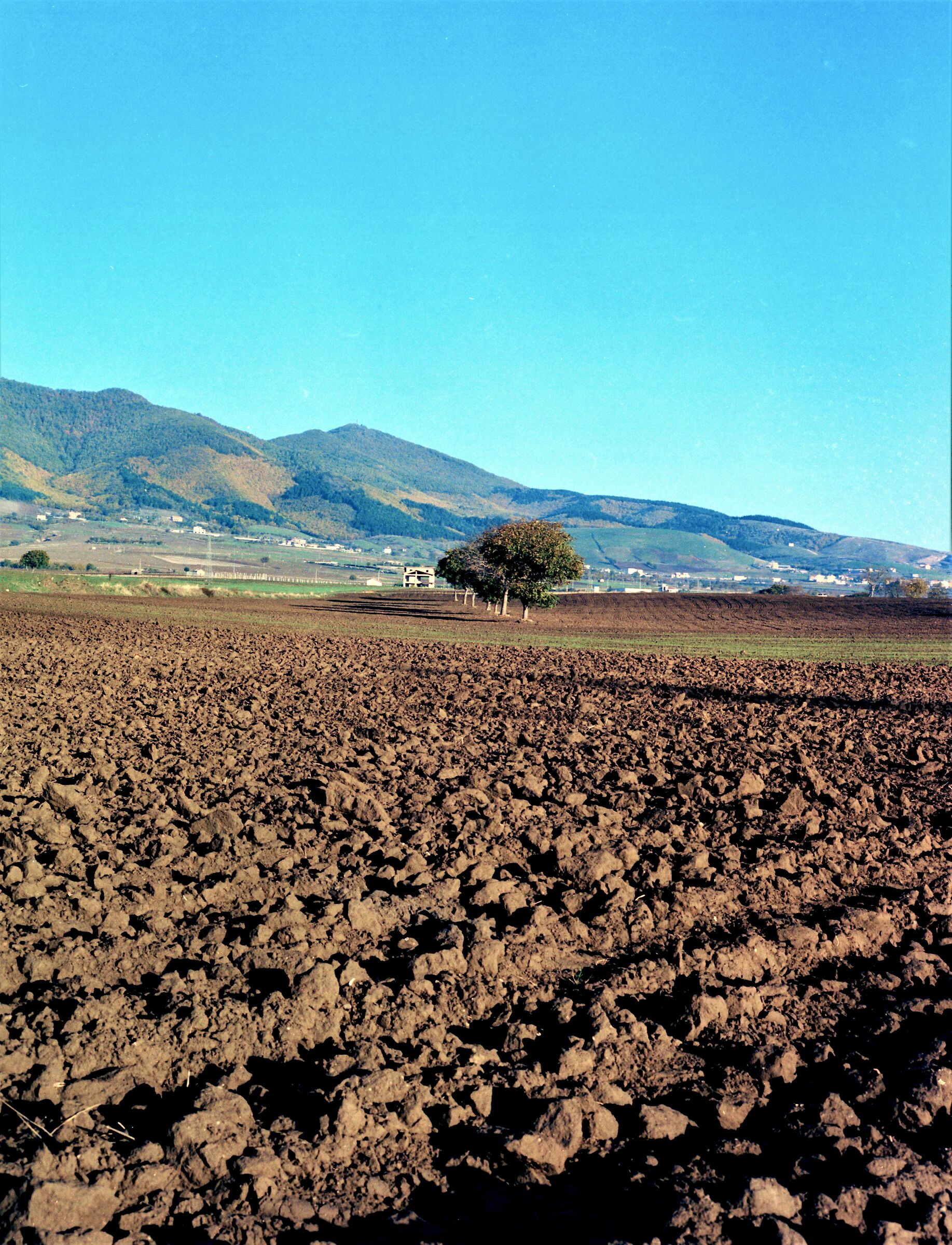 agro di Atella