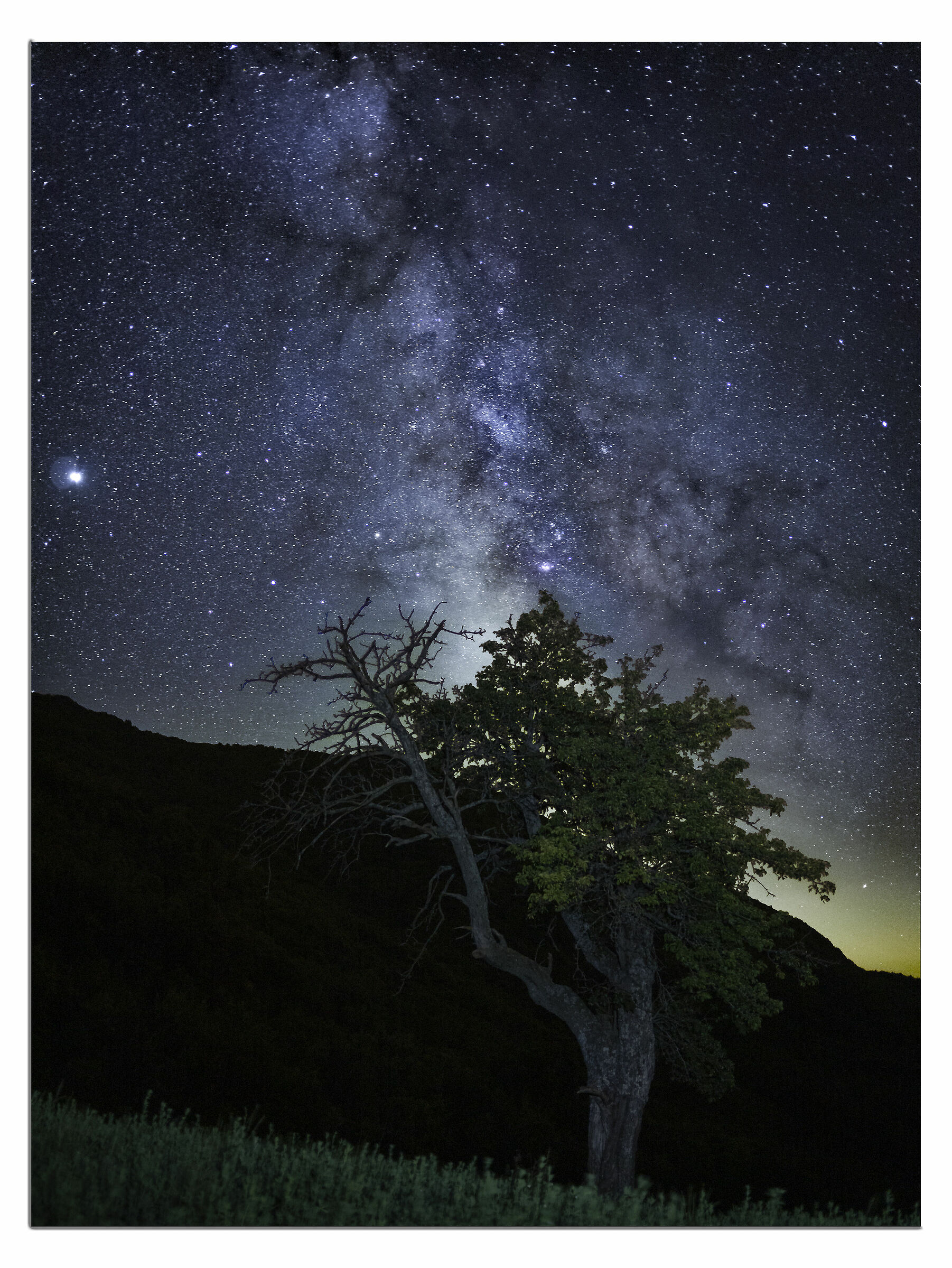 Another Milky Way Development Test