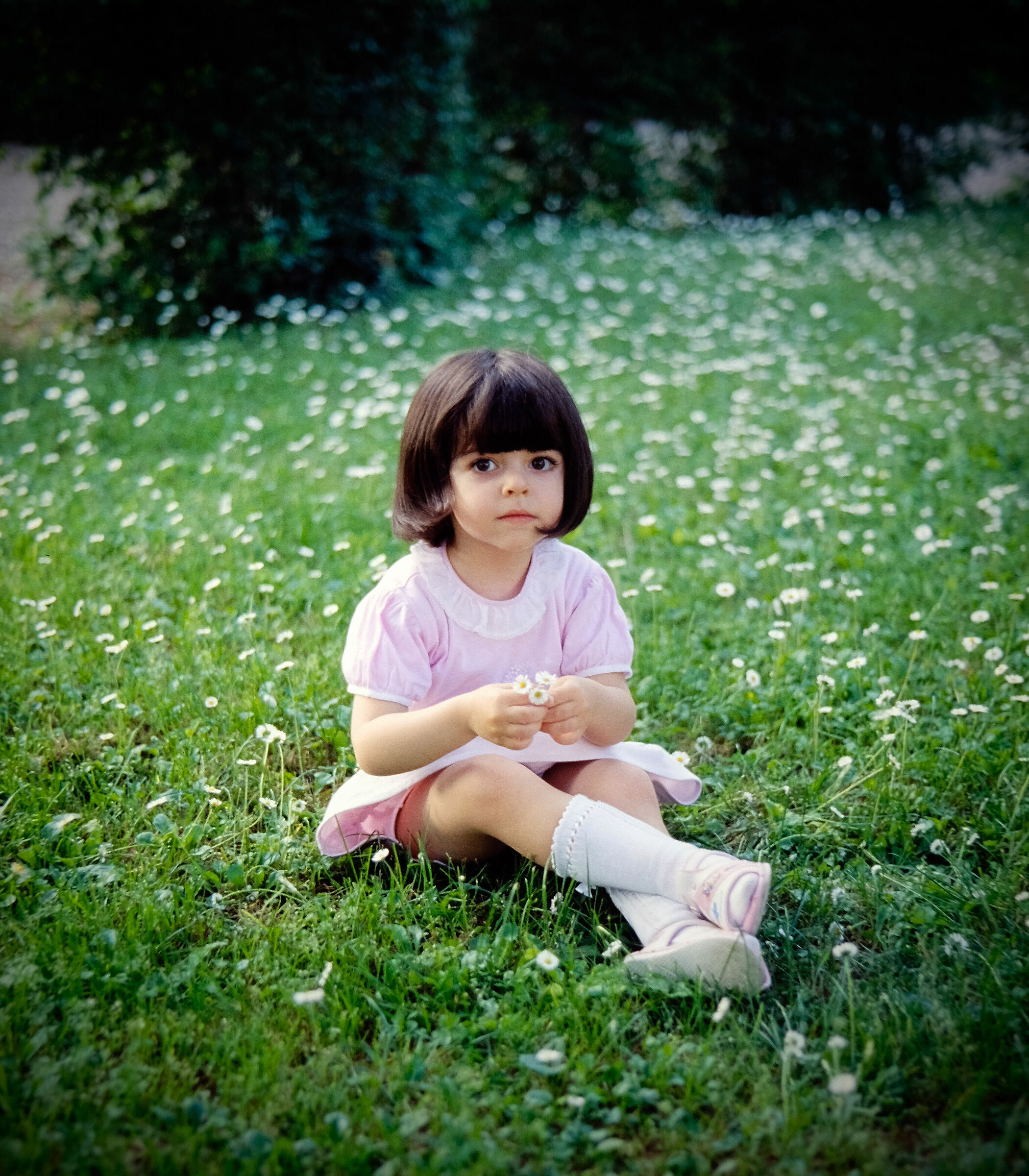 Alessandra among the daisies