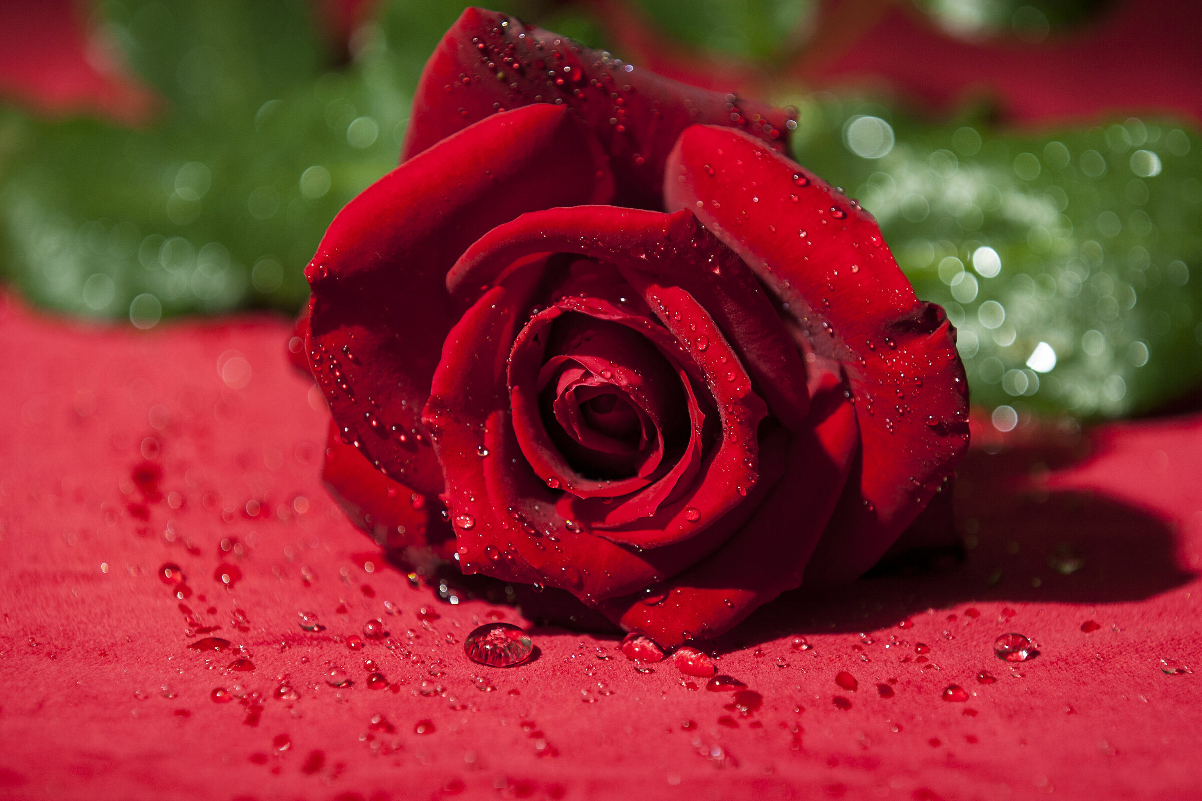 Red velvet and pearls