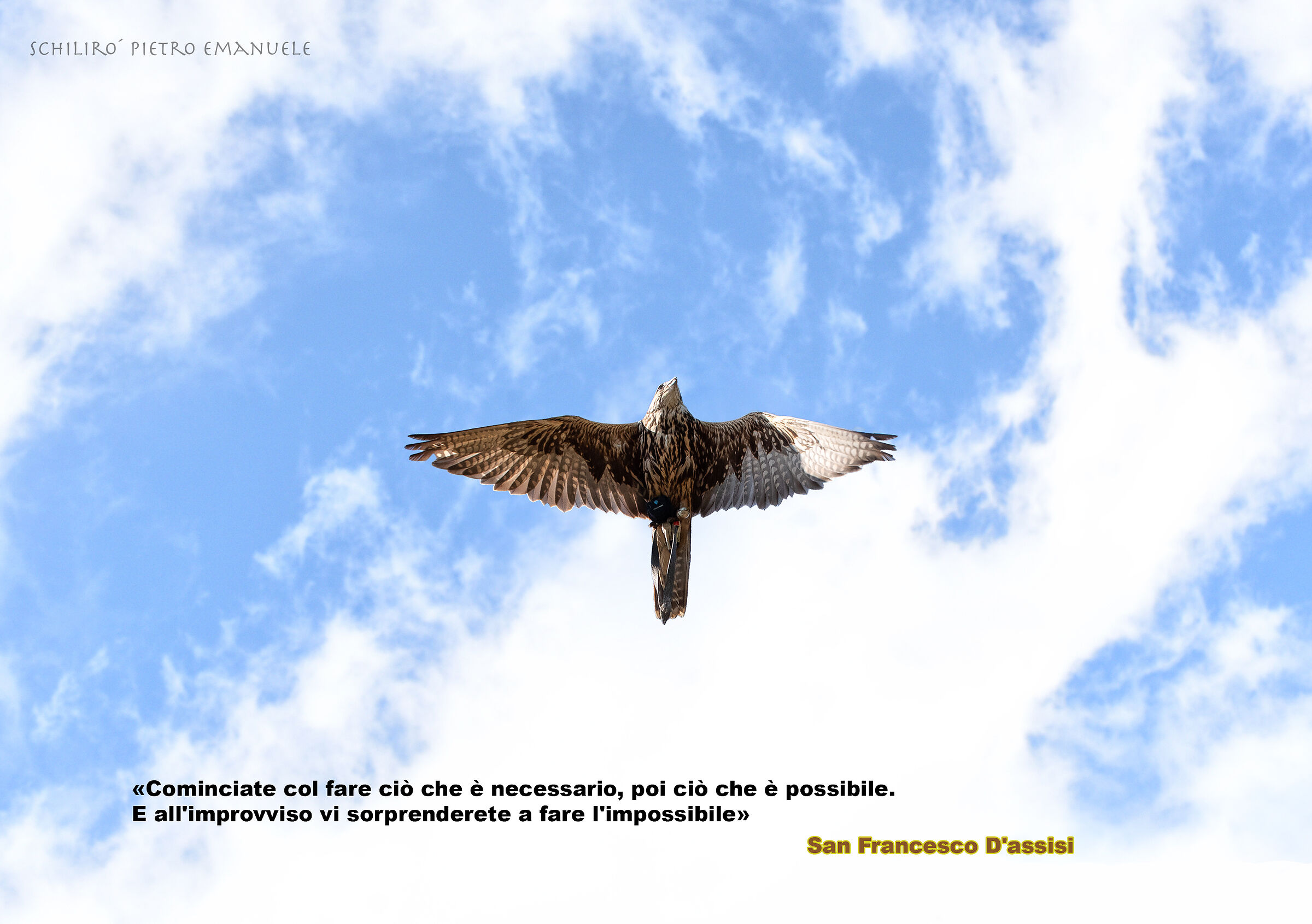 San Francesco - Pellegrino dell' Universo