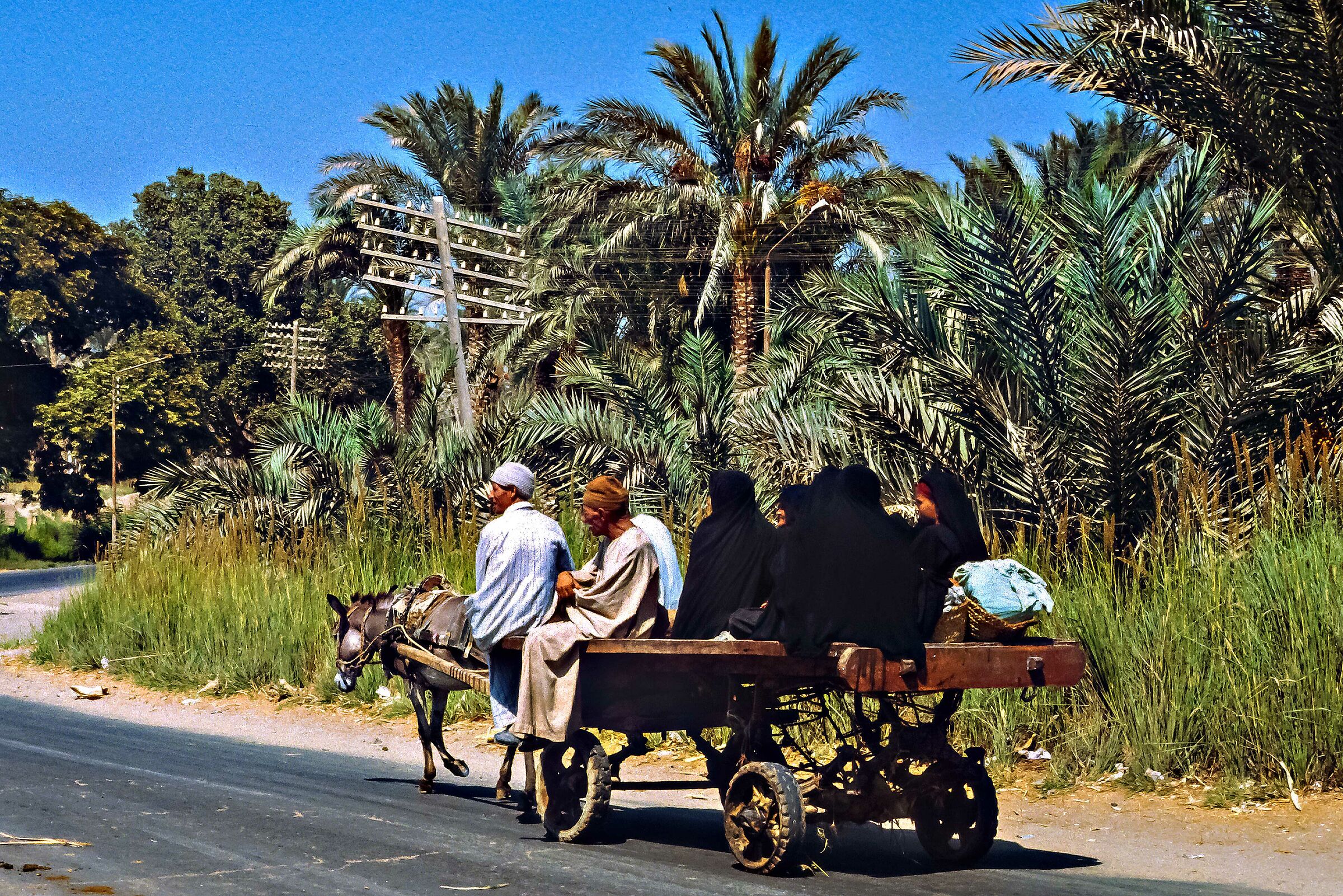 Egitto  settembre 1980