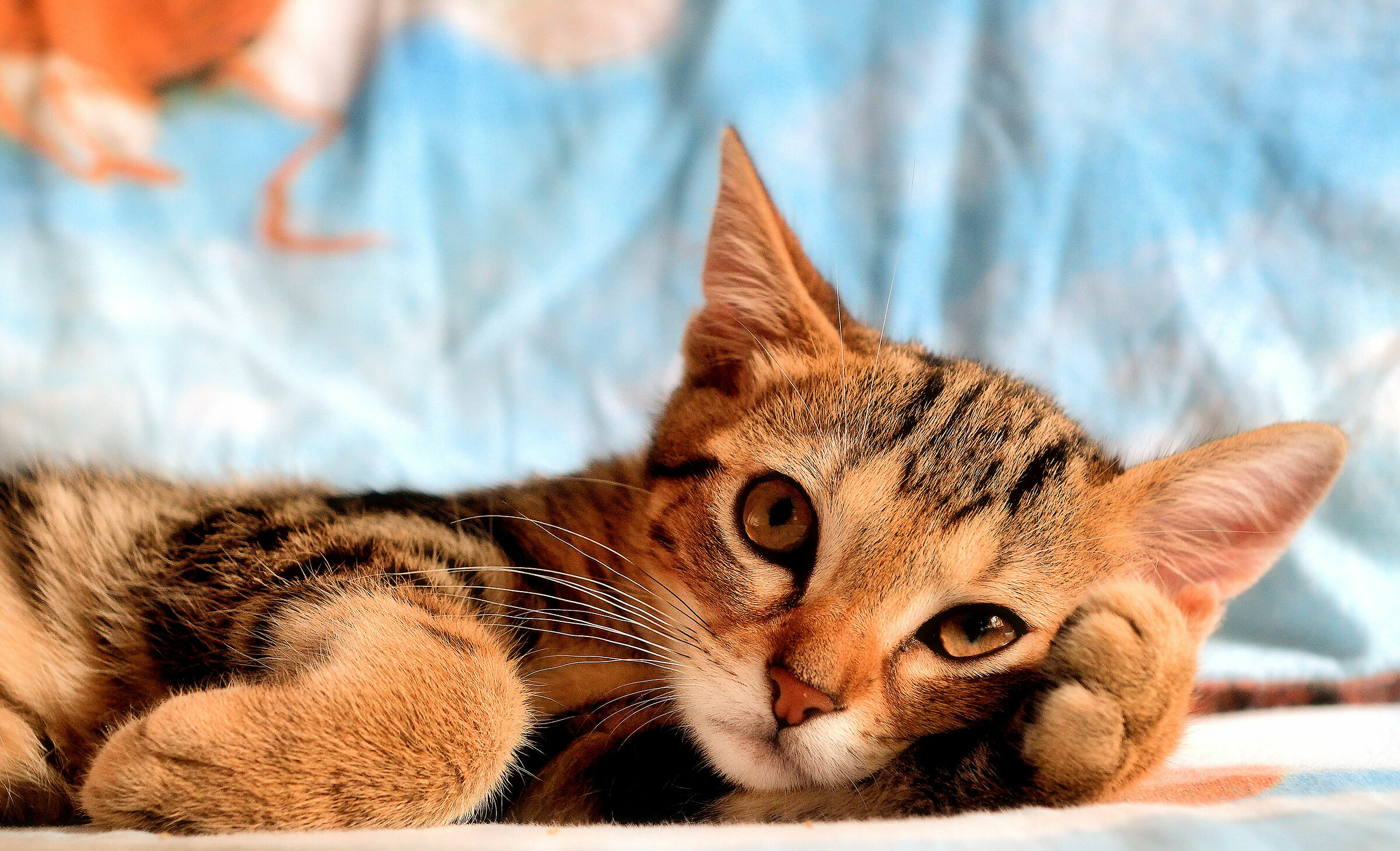 Con un cuscino sarebbe meglio...