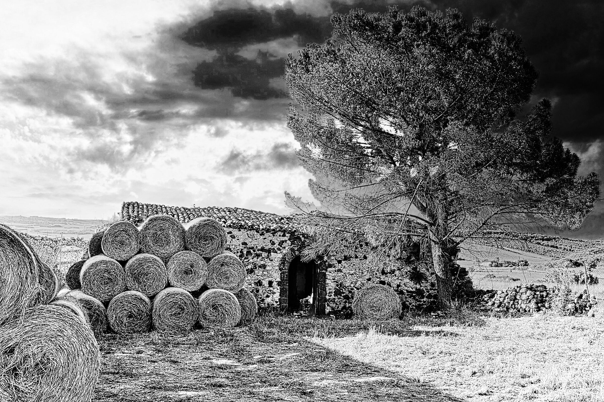 Untitled Photo