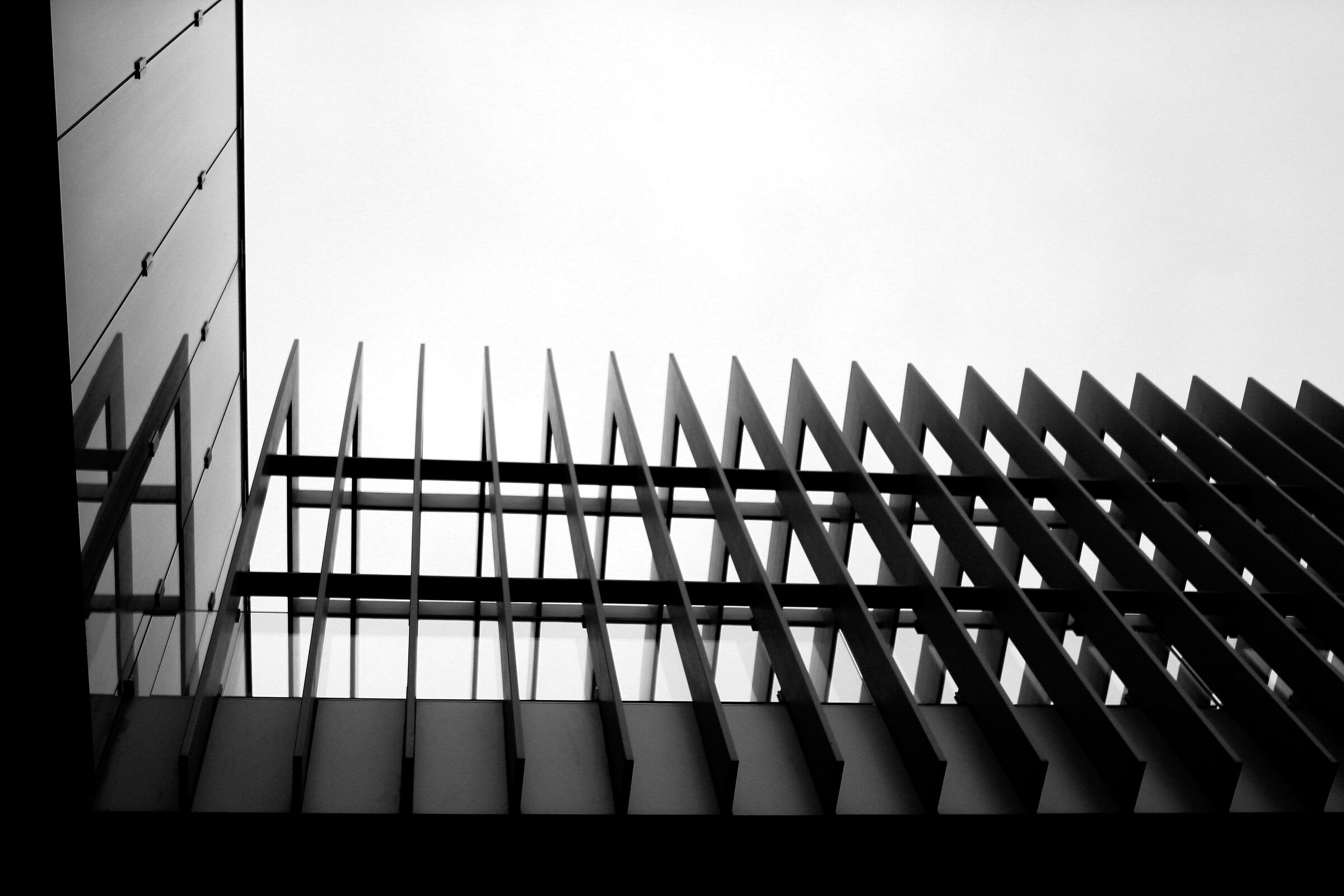 Architettura museale 1