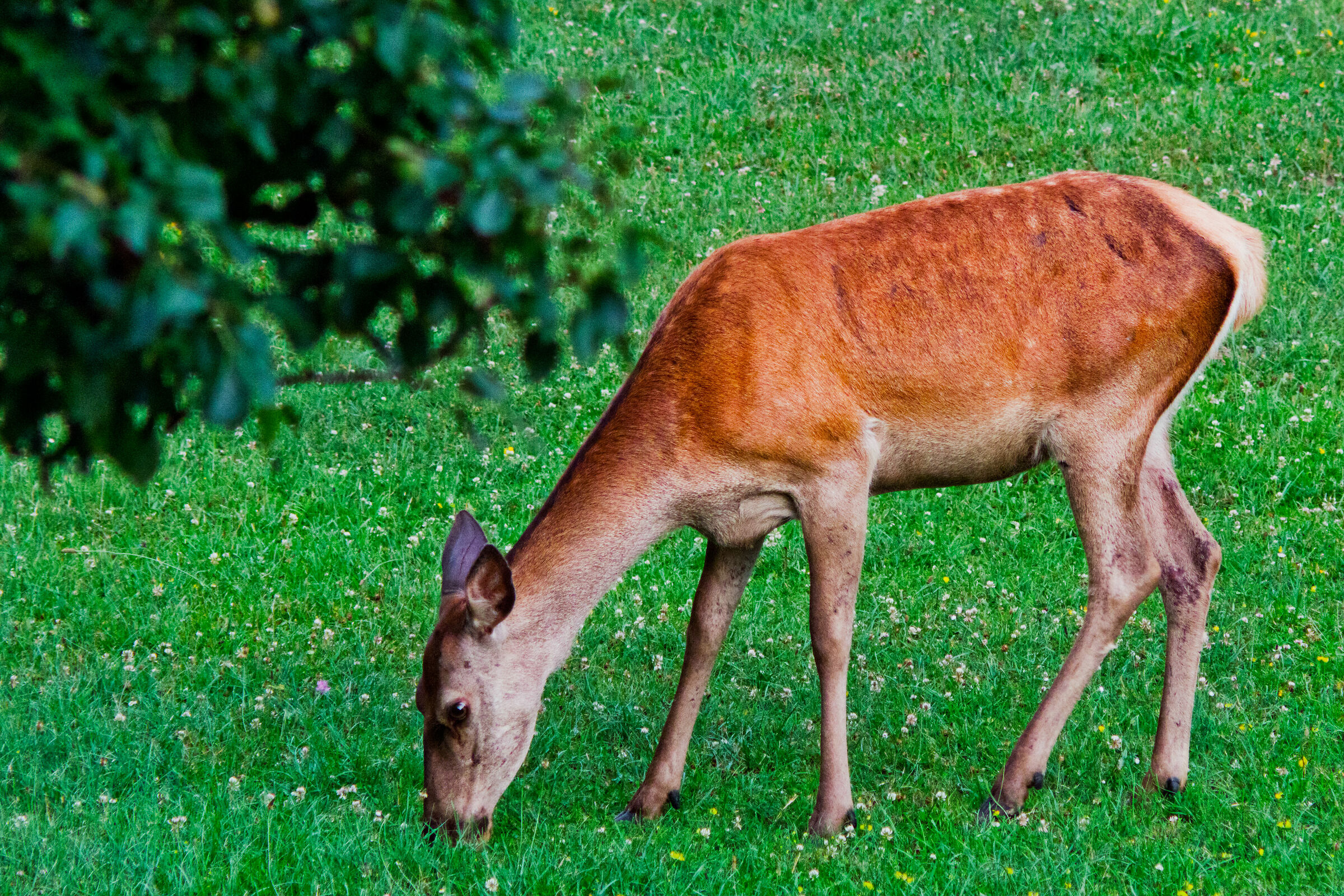 Incontri inaspettati
