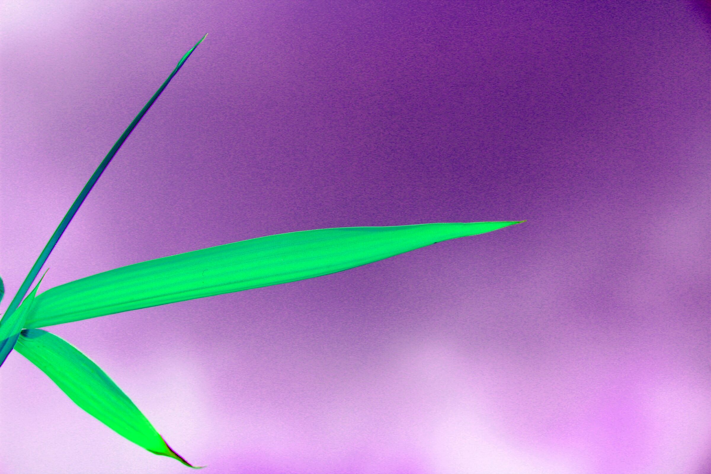 Diversamente natura 1