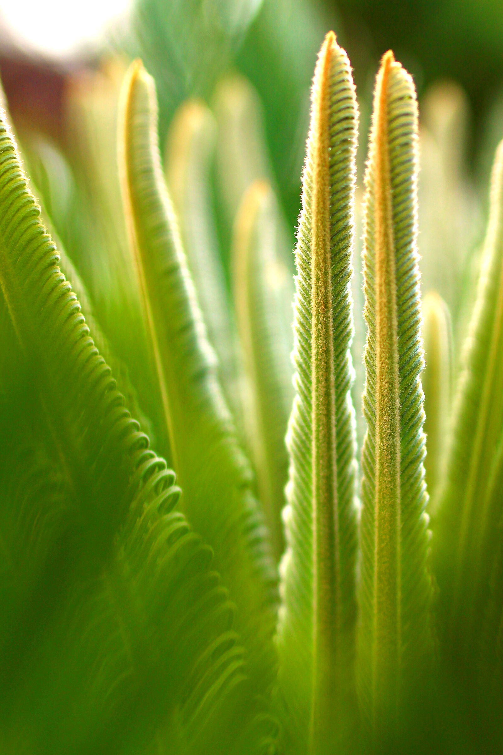 Diversamente natura 3