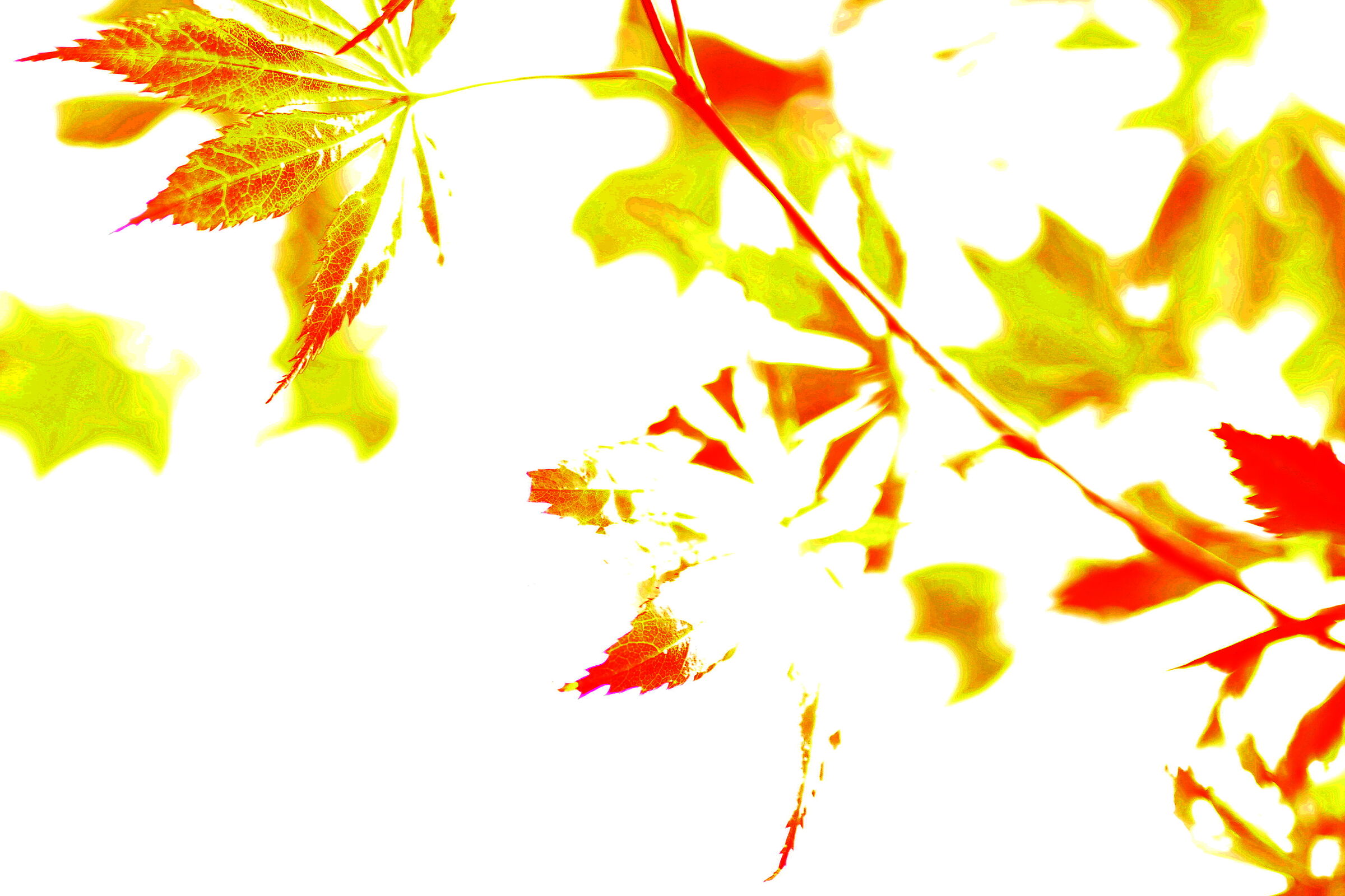 Diversamente natura 5