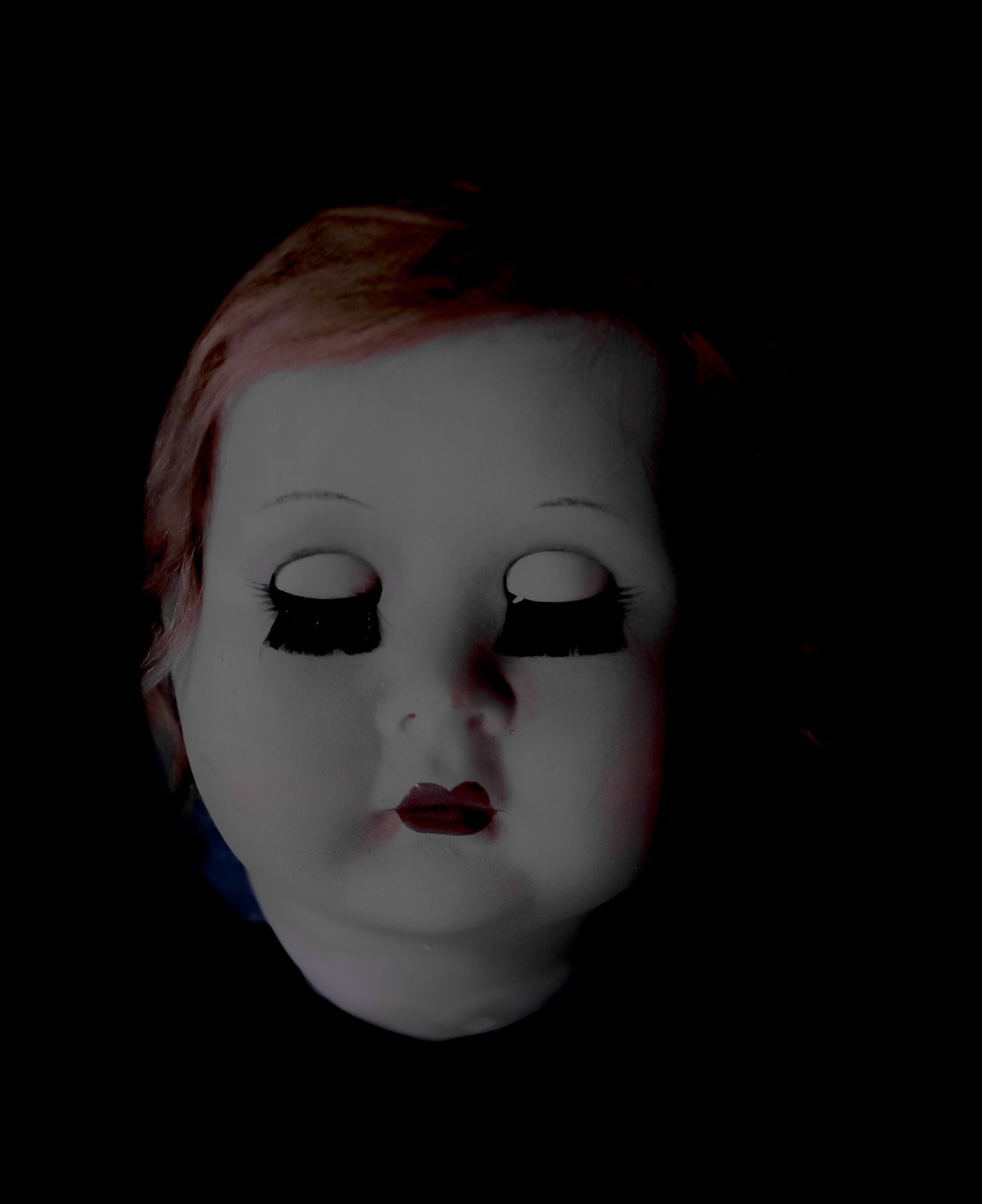 La bottega del terrore..