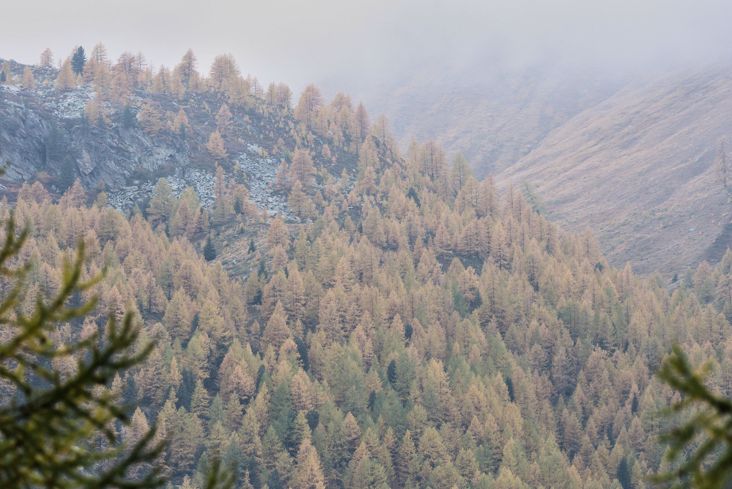 l'altro lato della valle verso il Col Entrelor