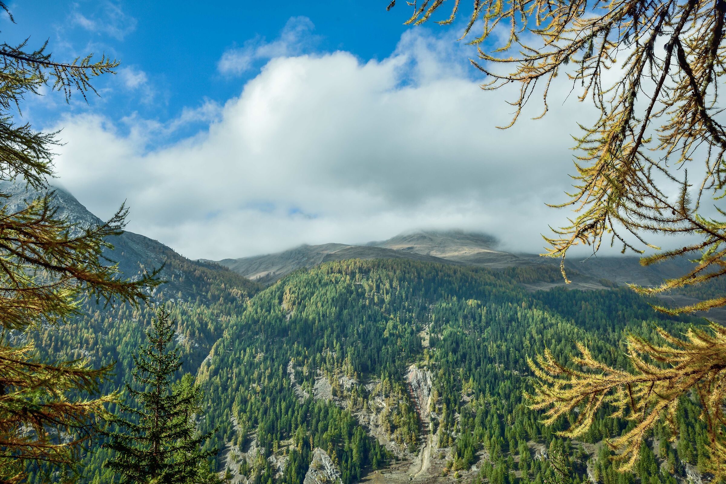 l'altro lato della valle verso il Col Entrelor