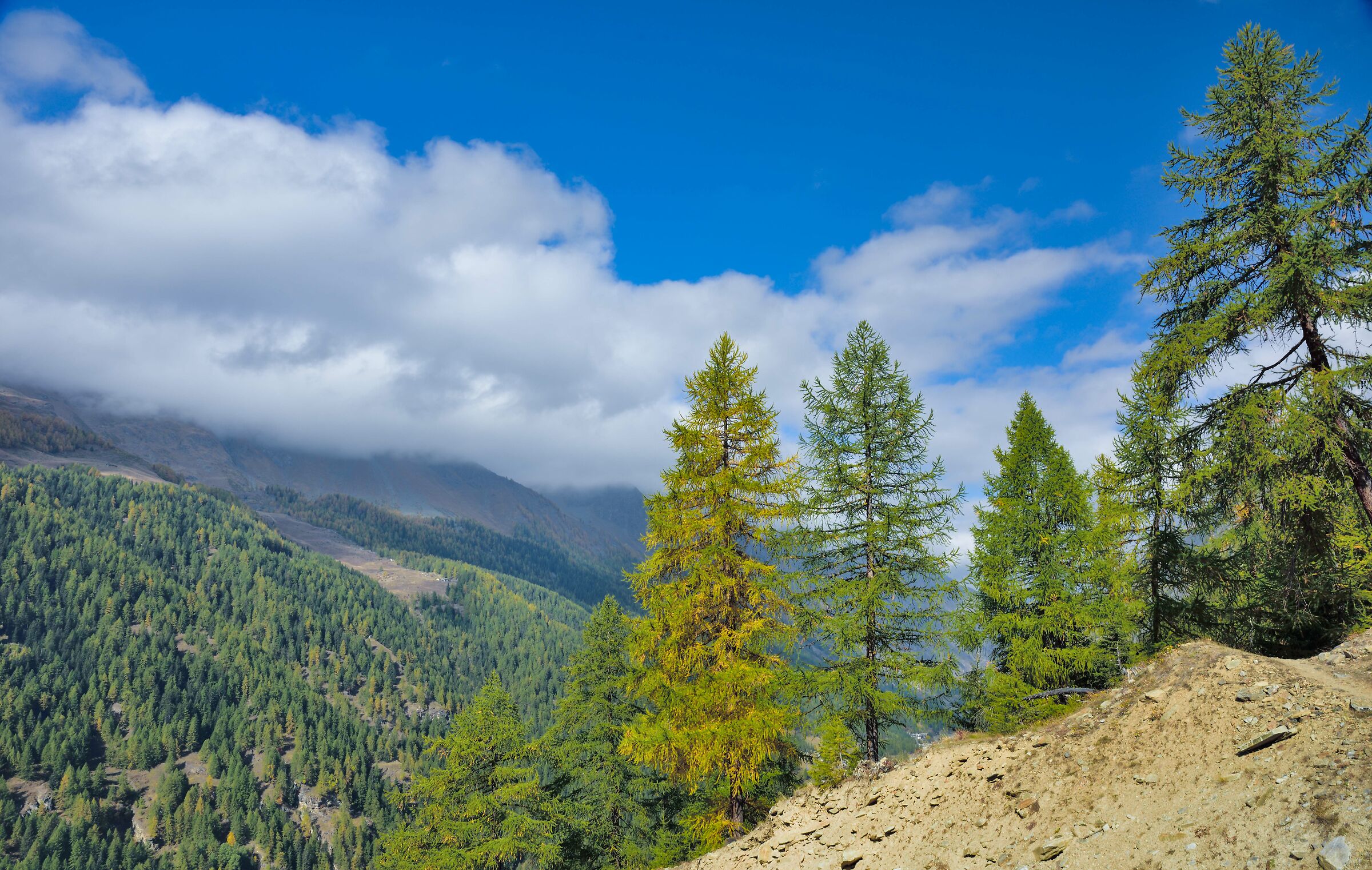 l'altro lato della valle verso il Col Entrelor