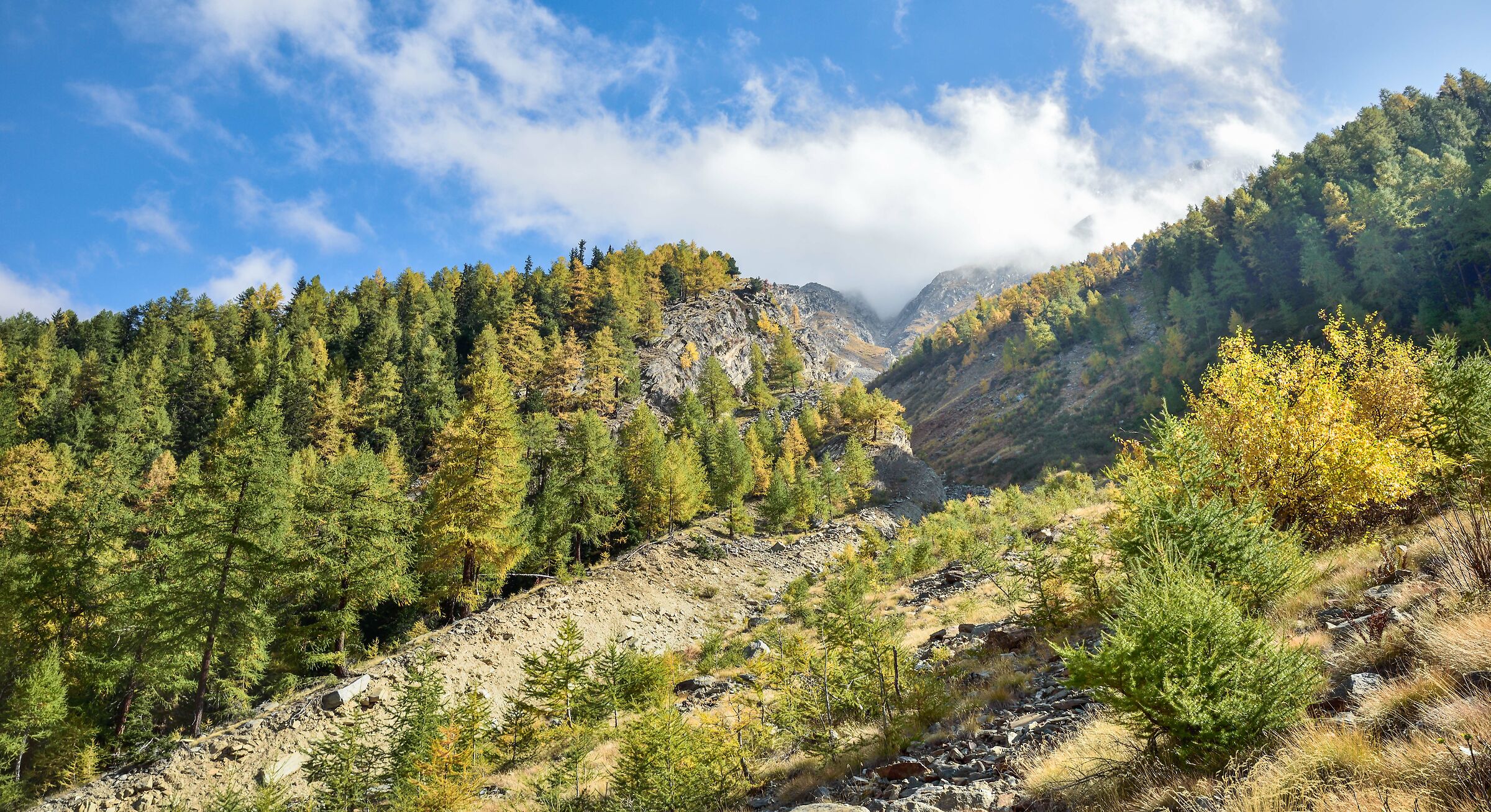 siamo ormai quasi ritornati al punto di partenza