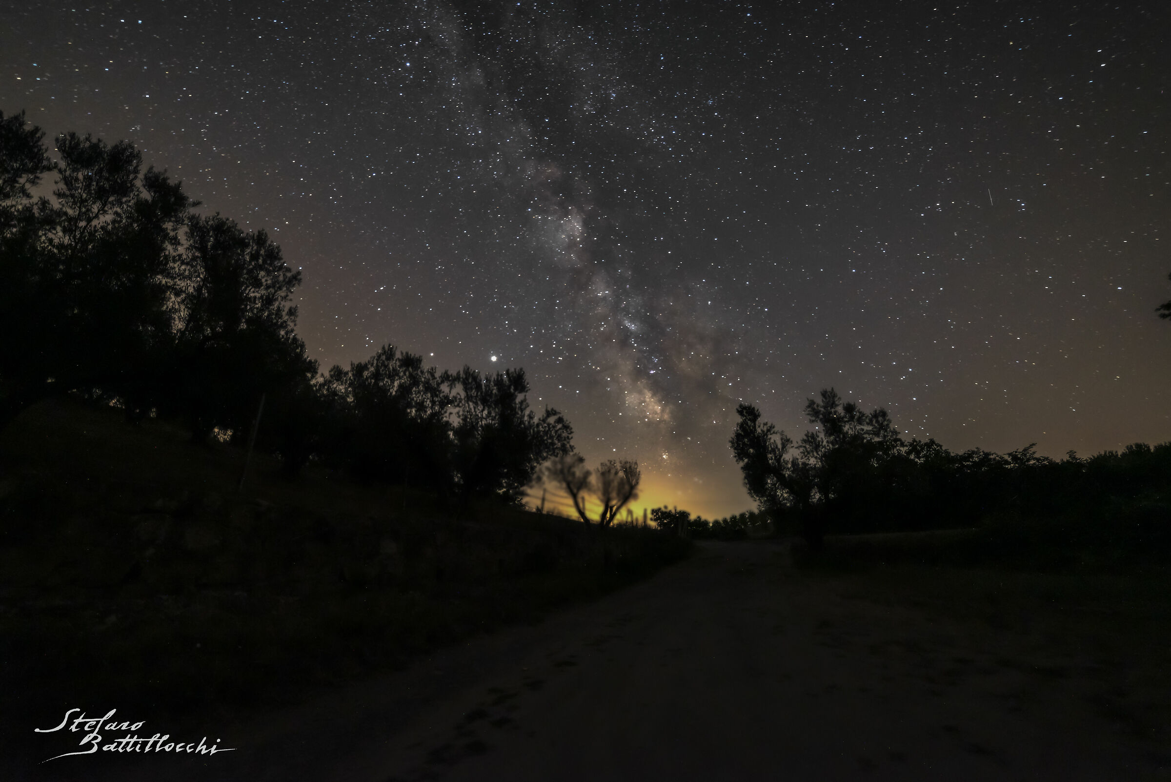 una via tra gli ulivi