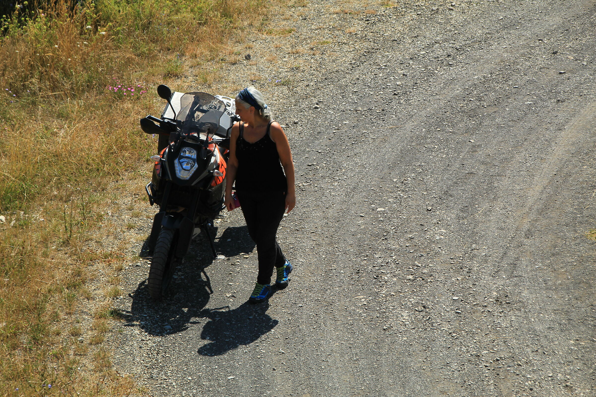 Glances of understanding