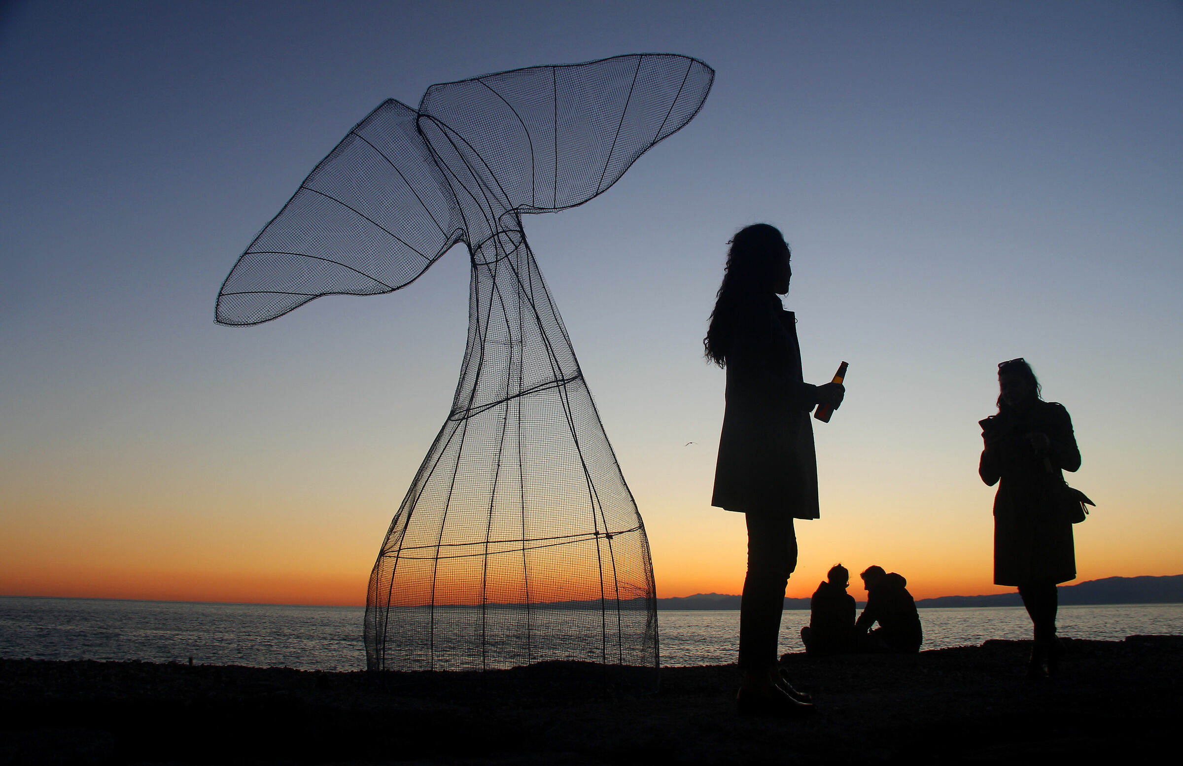 coda di balena con silhouettes