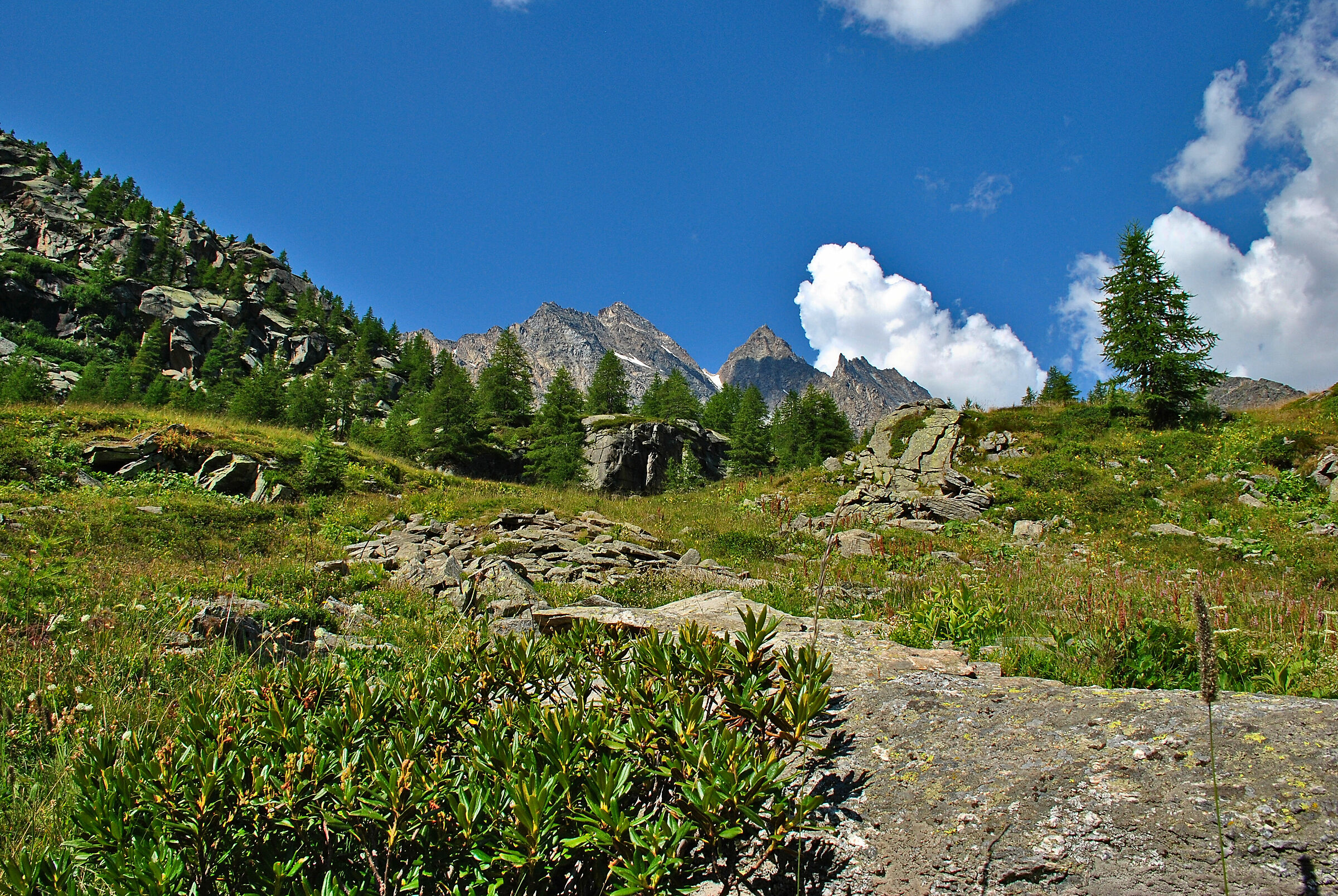 Escursione al lago Dres