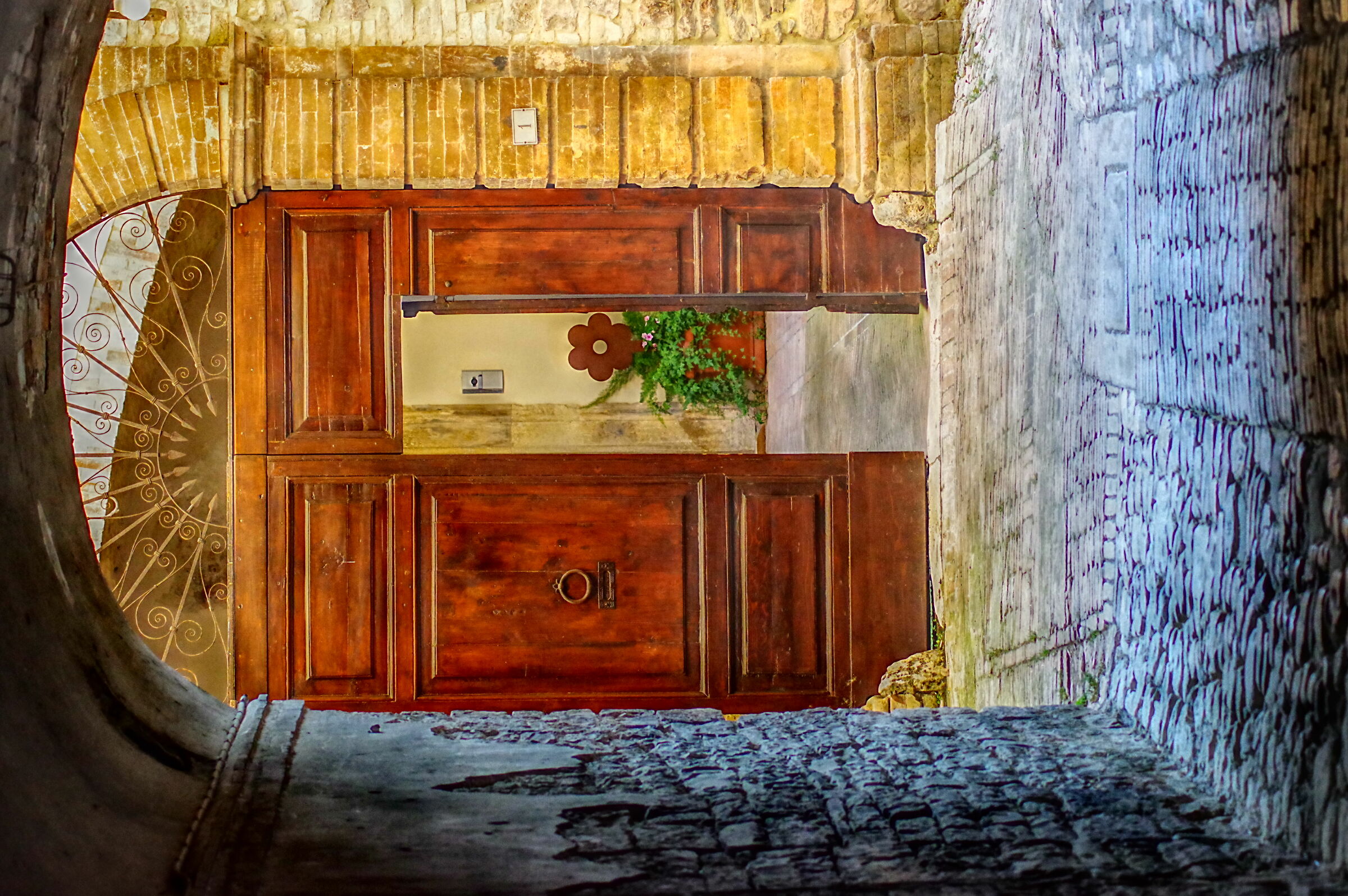 Fiore che attende....