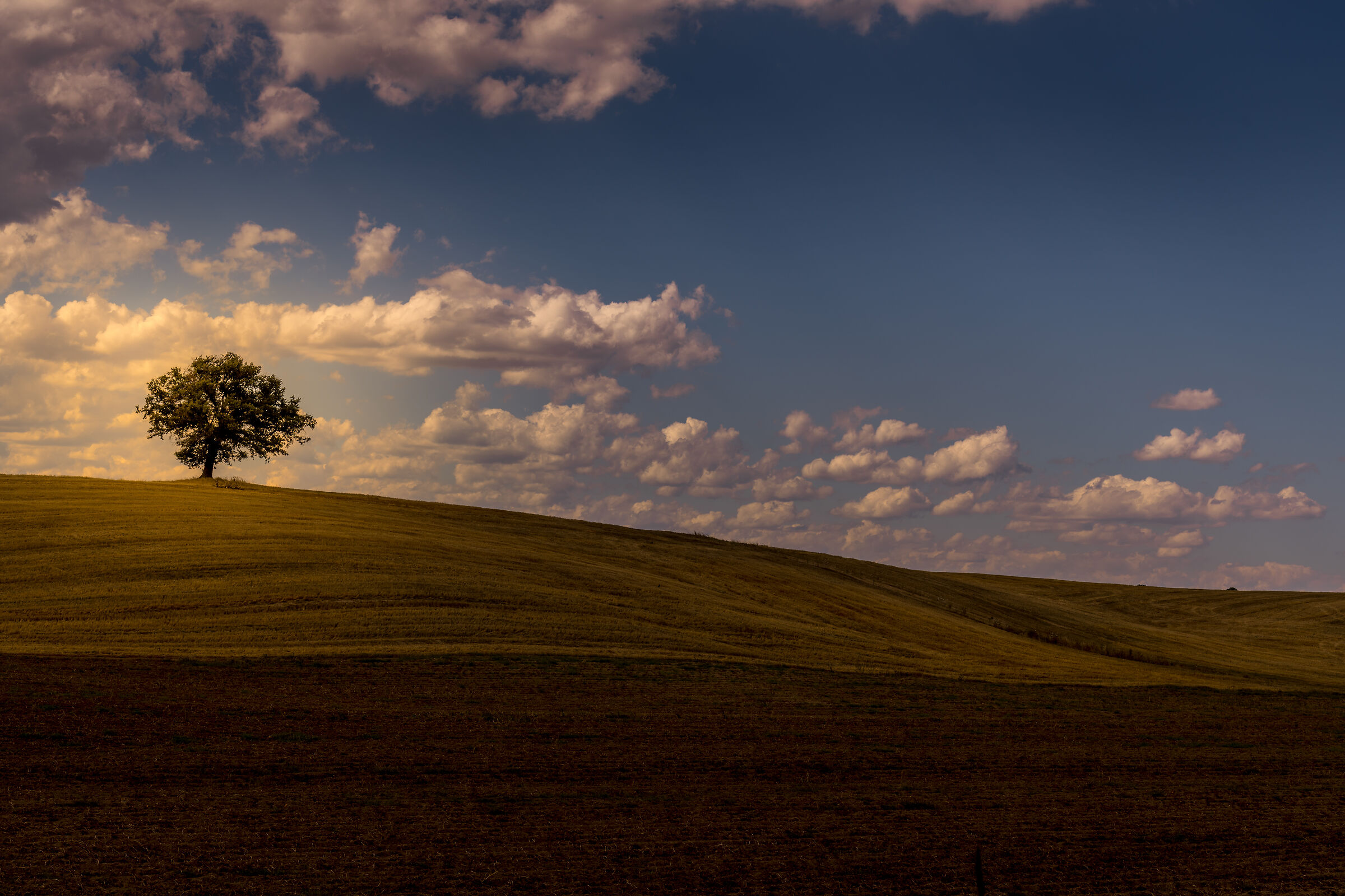 Dopo tutto, sono punti di vista