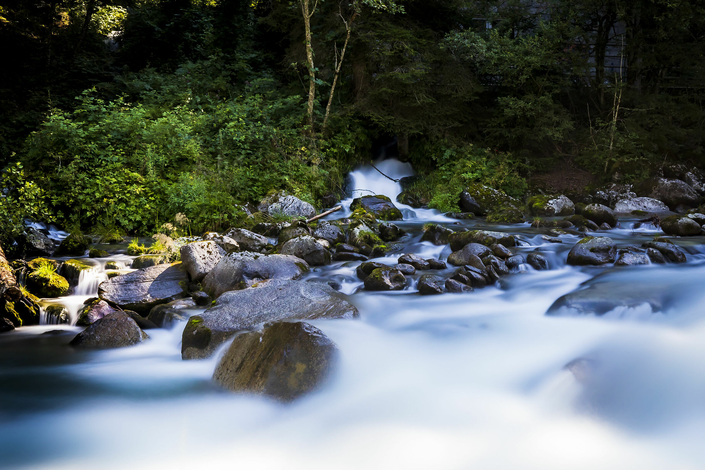 Riva Falls