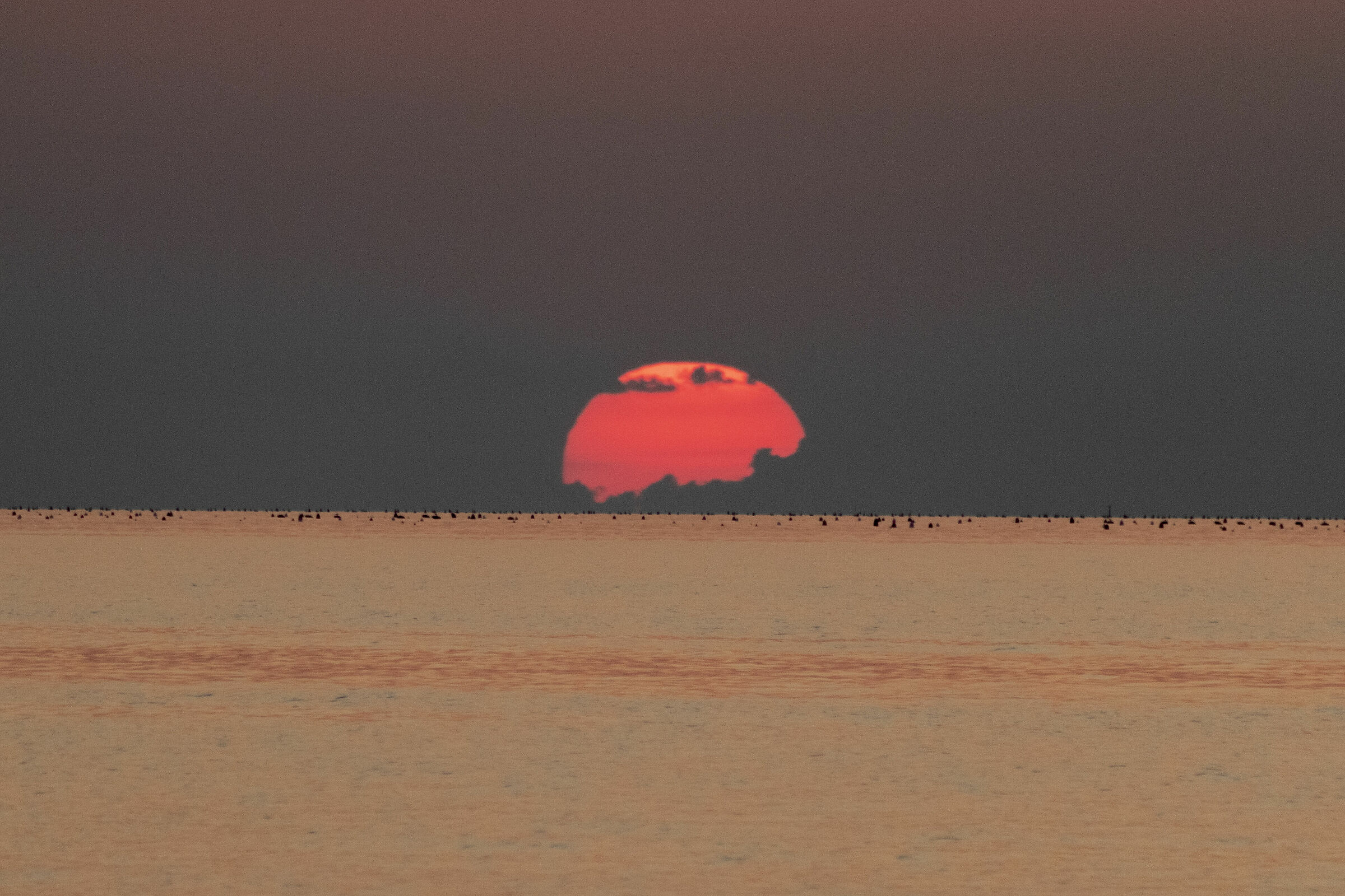 Tomorrow is another day.