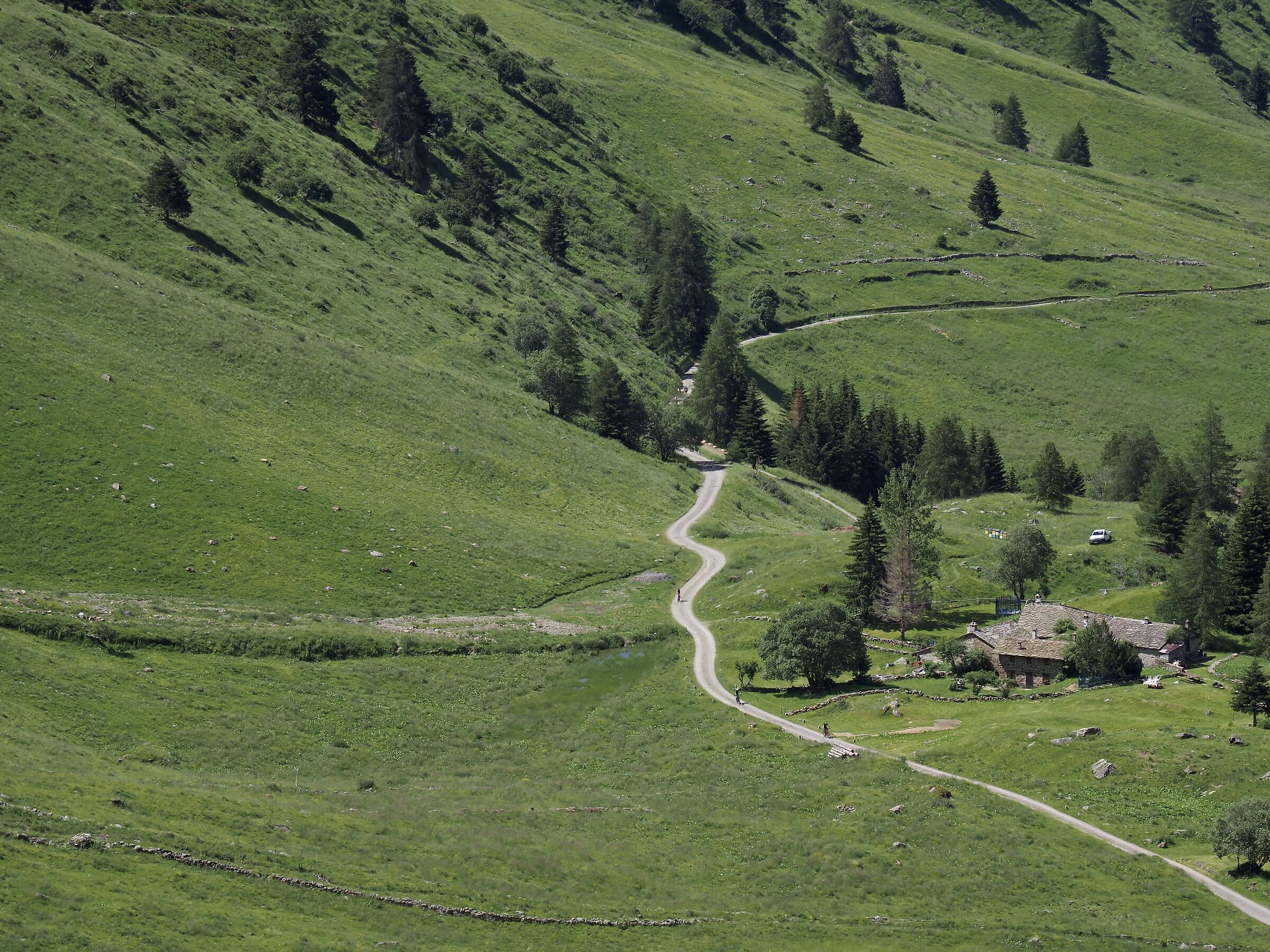 The Face Face at Face Houses