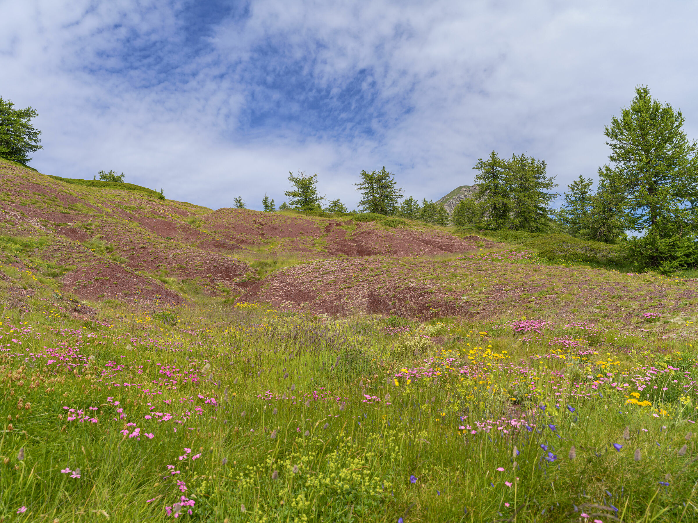 Climbing to the Red Glue (Shipland)