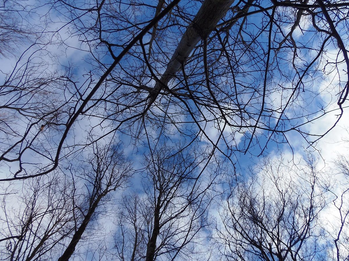 La neve se ne frega...