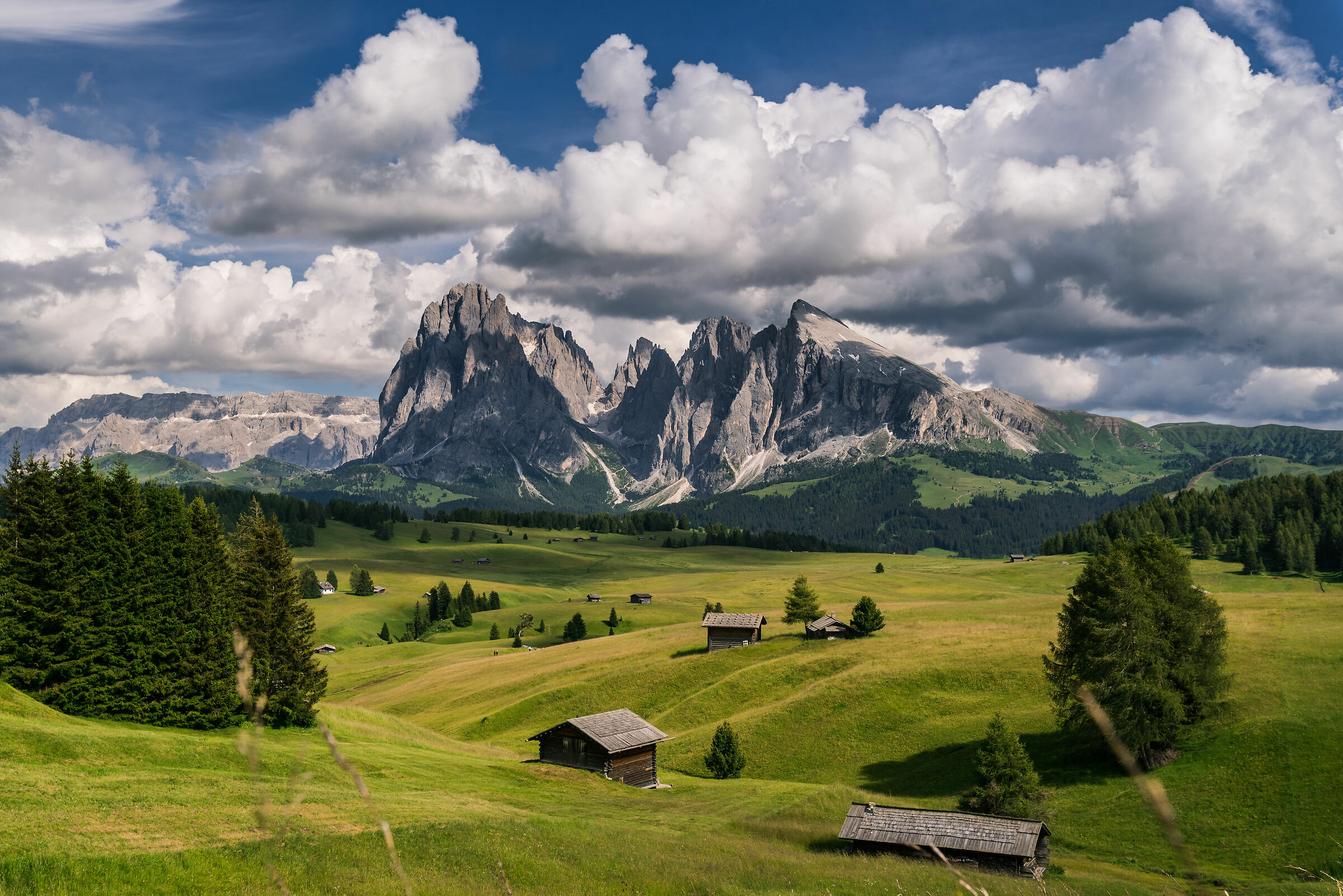 Sua maestà seiser ALM