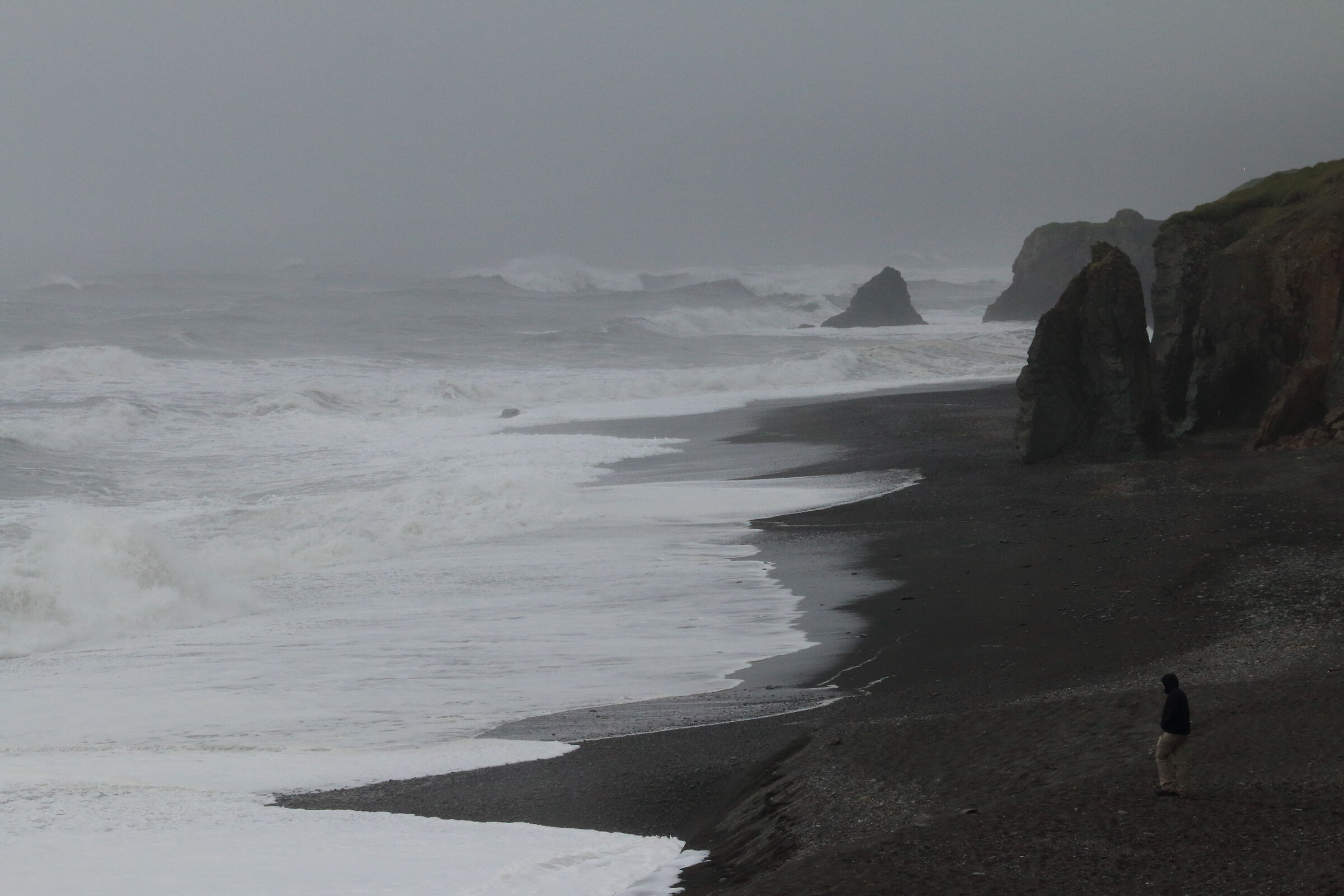 "e venne l'inverno che uccide il colore..."