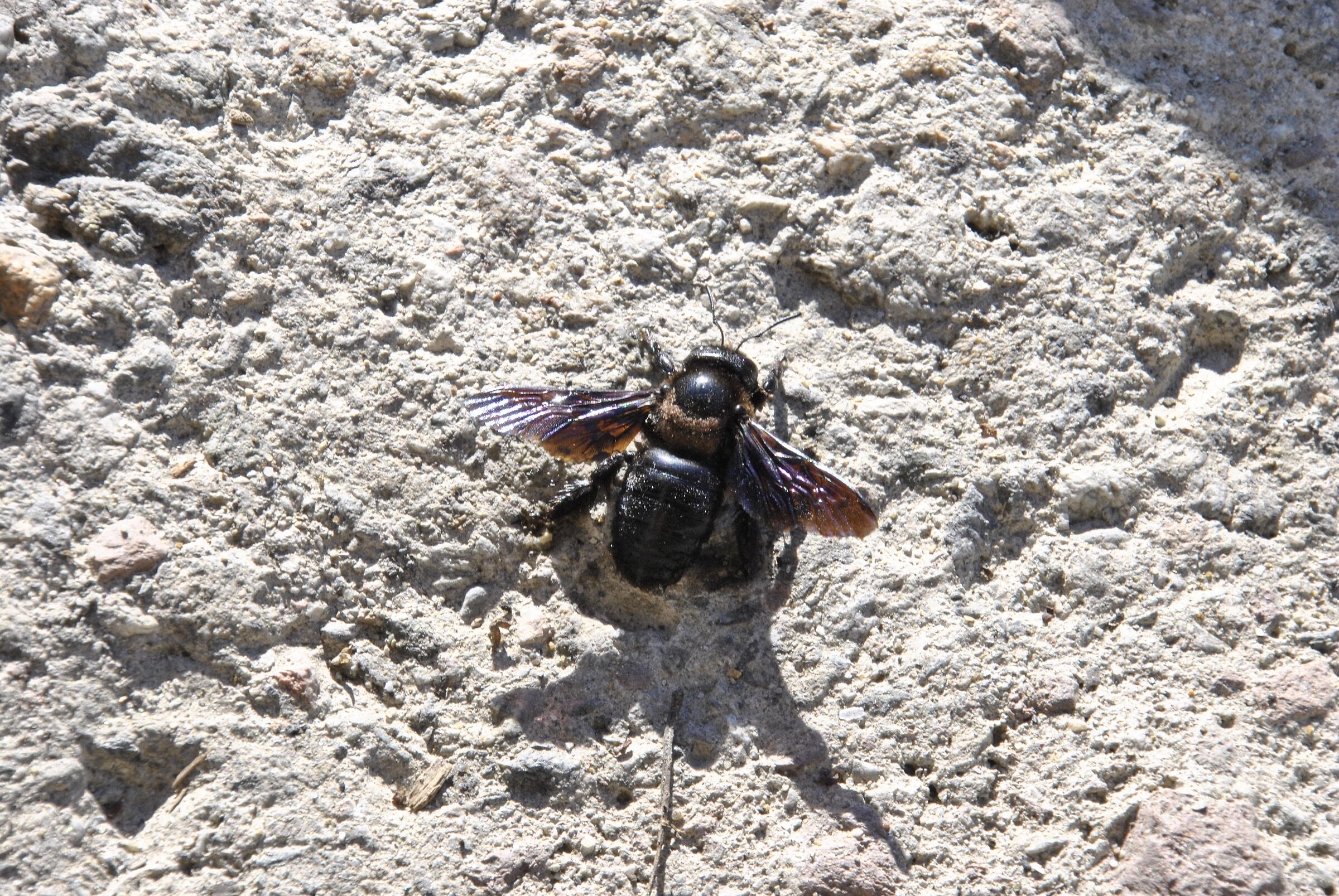 E ora un pò di sole