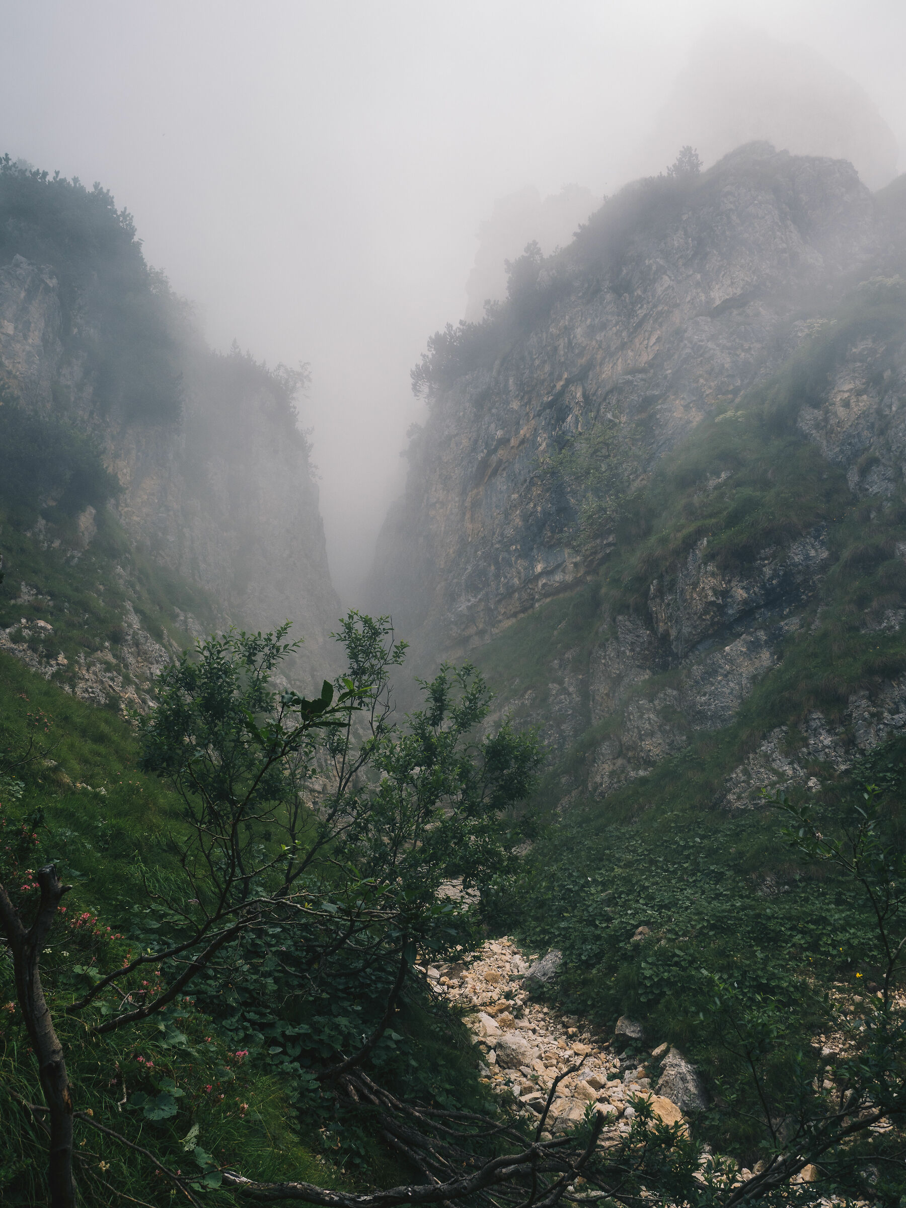 Canyon in The Pasubio