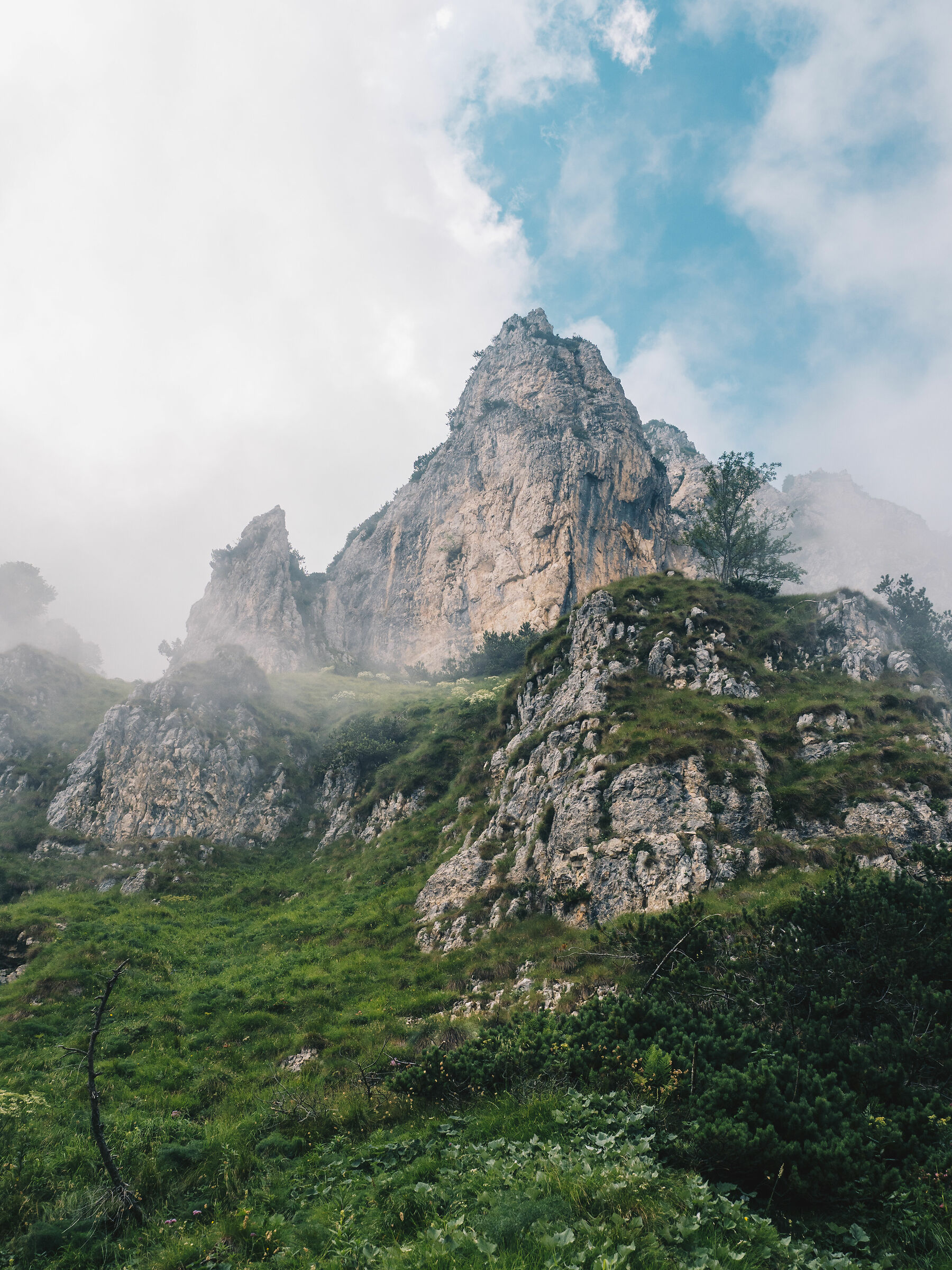 Golden Fountain Route, Pasubio