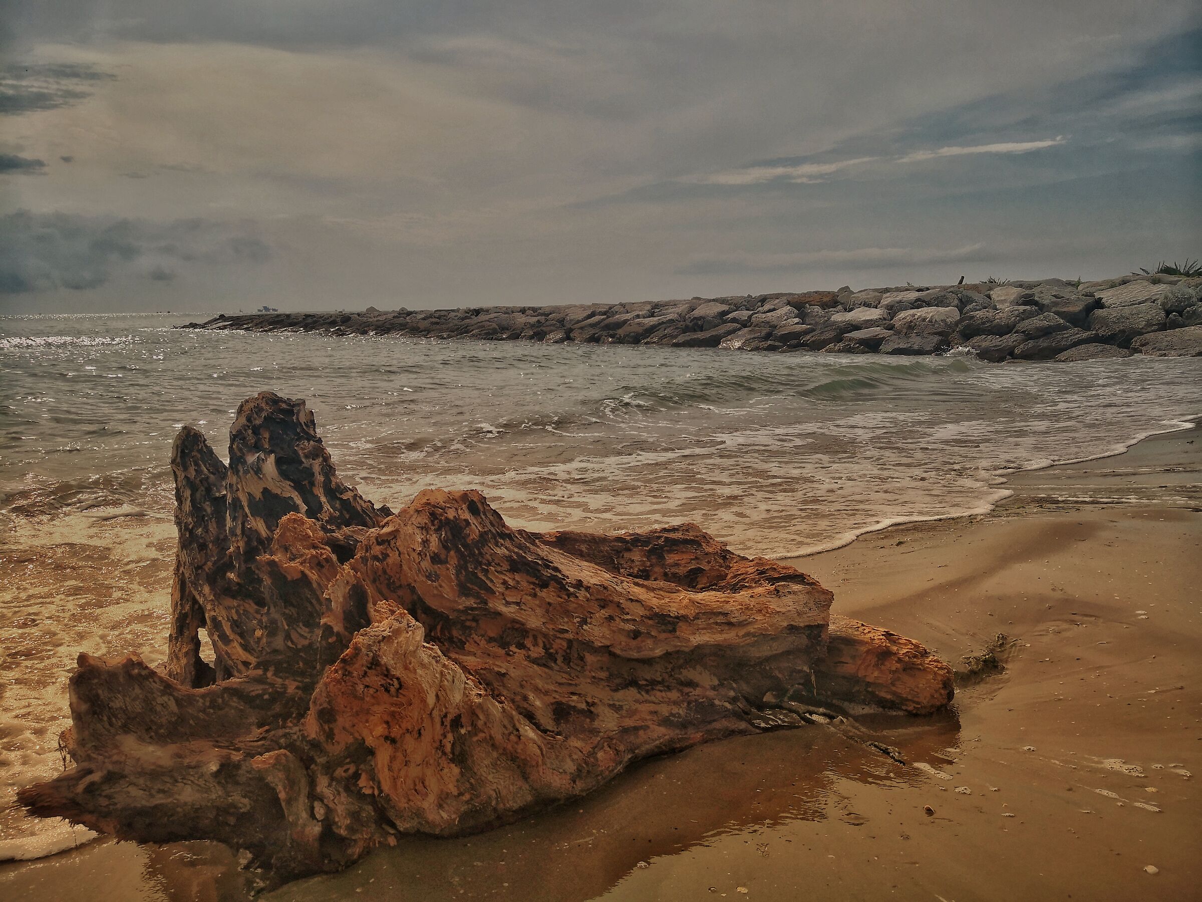 Sea