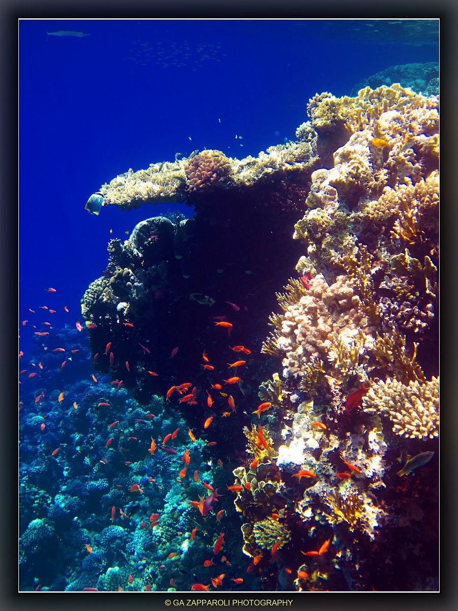Red Sea - Ras Nasrani