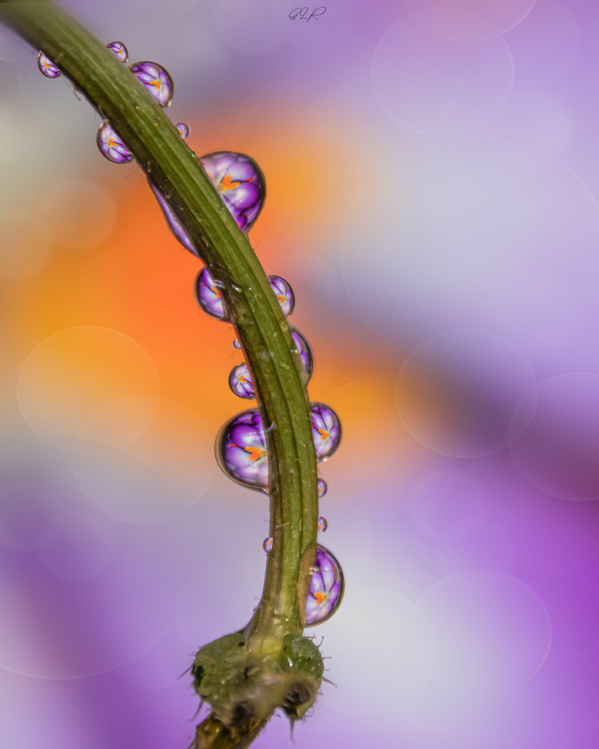 Droplet