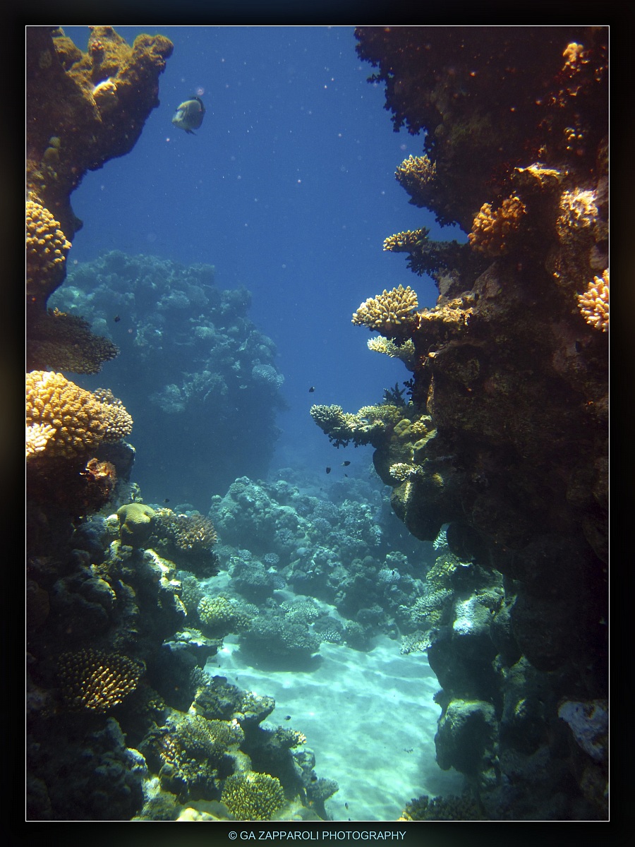 Red Sea - Ras Nasrani