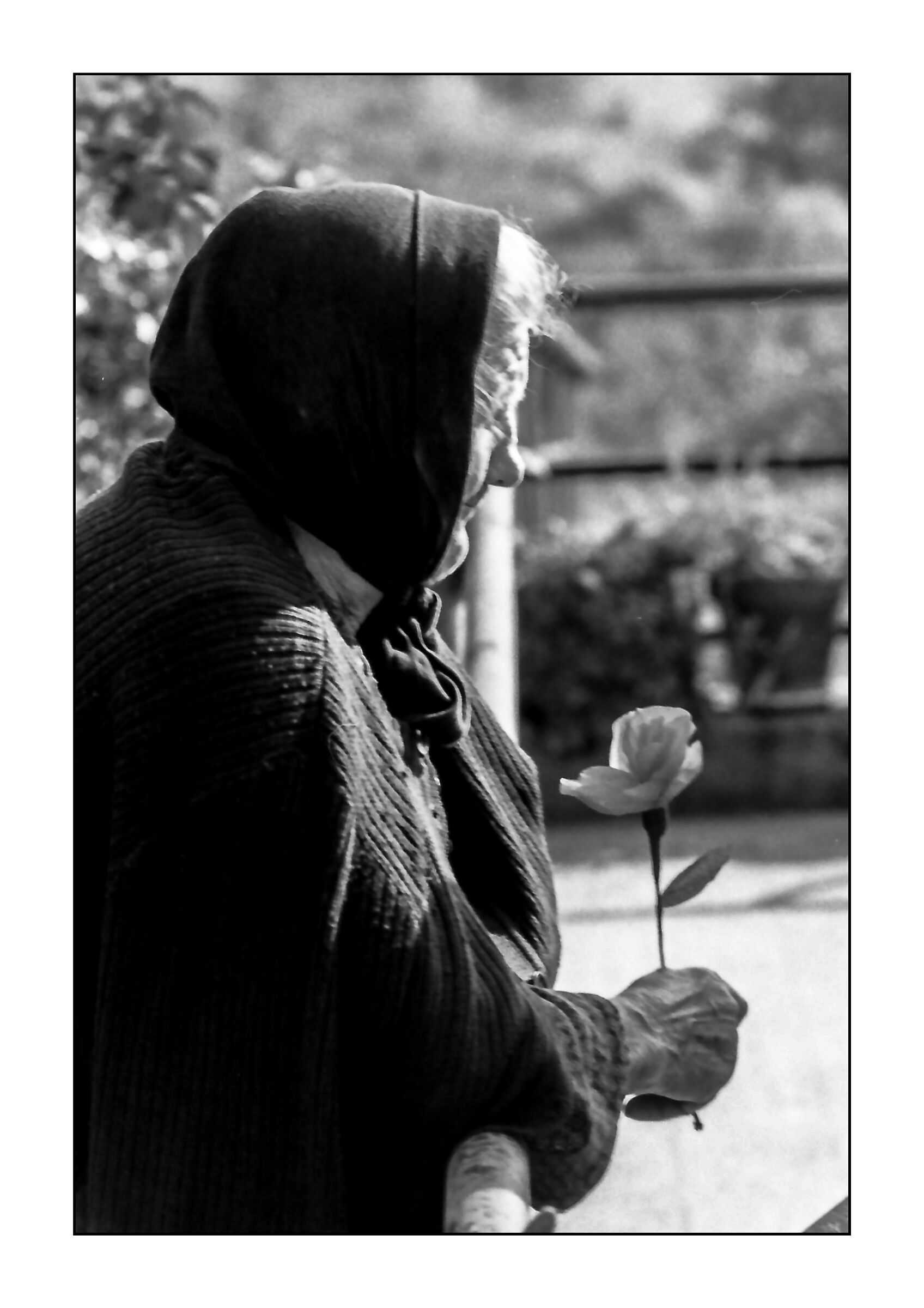 il fiore in una mano