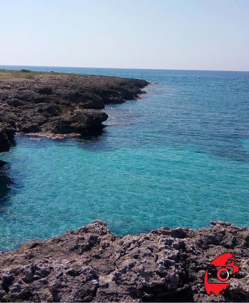 Sea scent of the sea