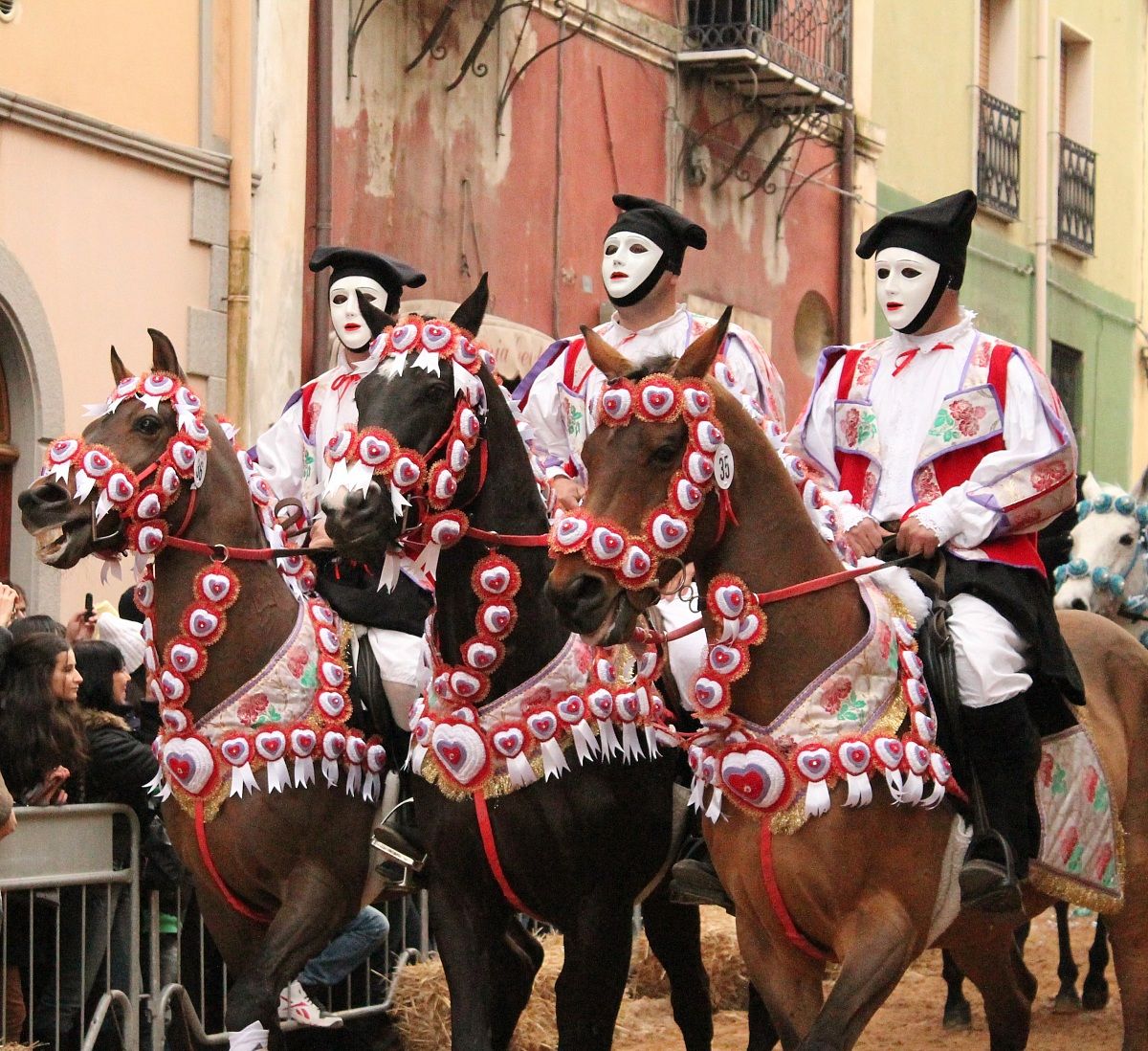 Cavalieri partecipanti