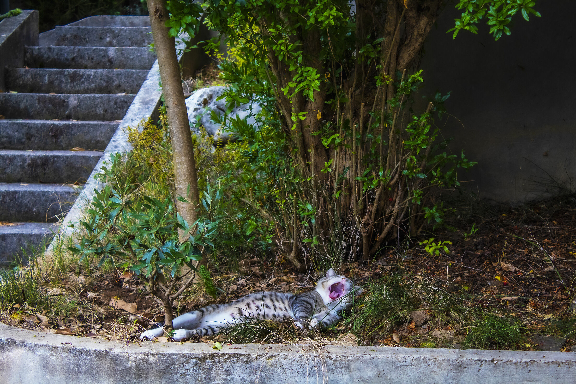biagio in relax , 1/160 f 5.6 .... con il kit base 1855