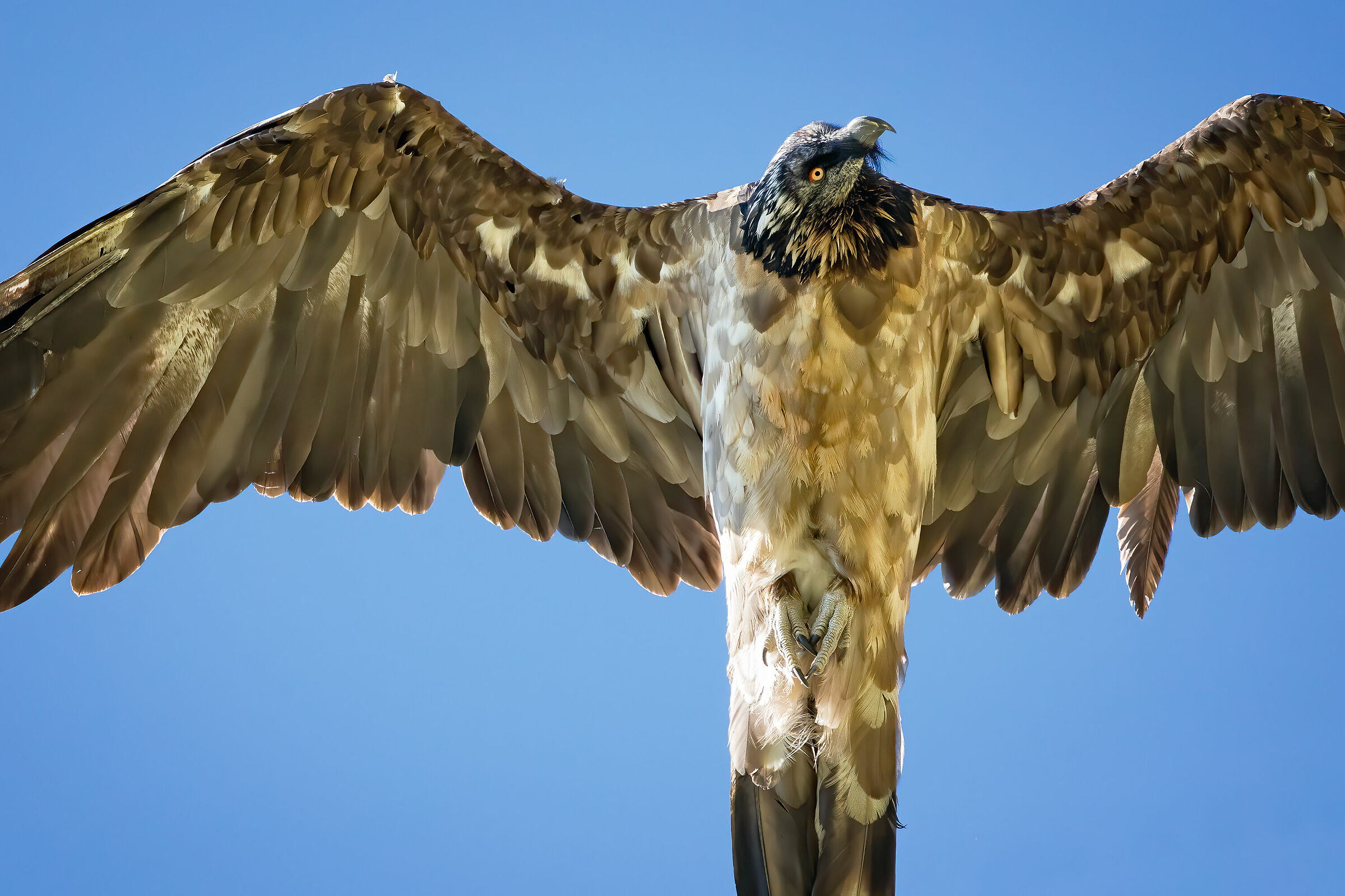Imponente e maestoso