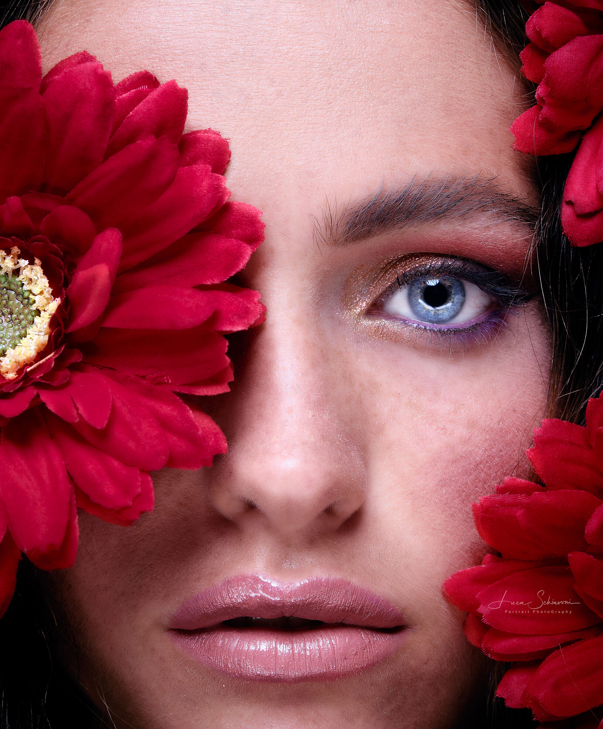 Close Up Flower