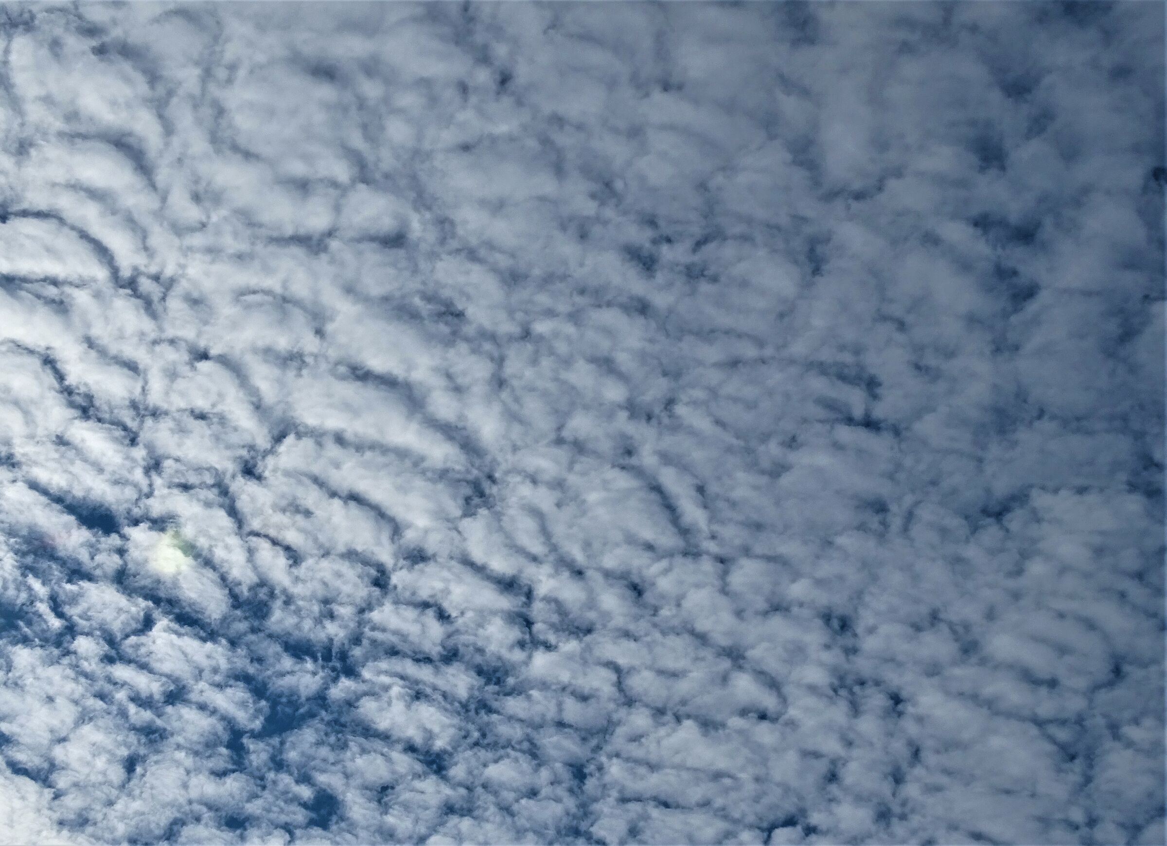 nuvole a pecorelle..